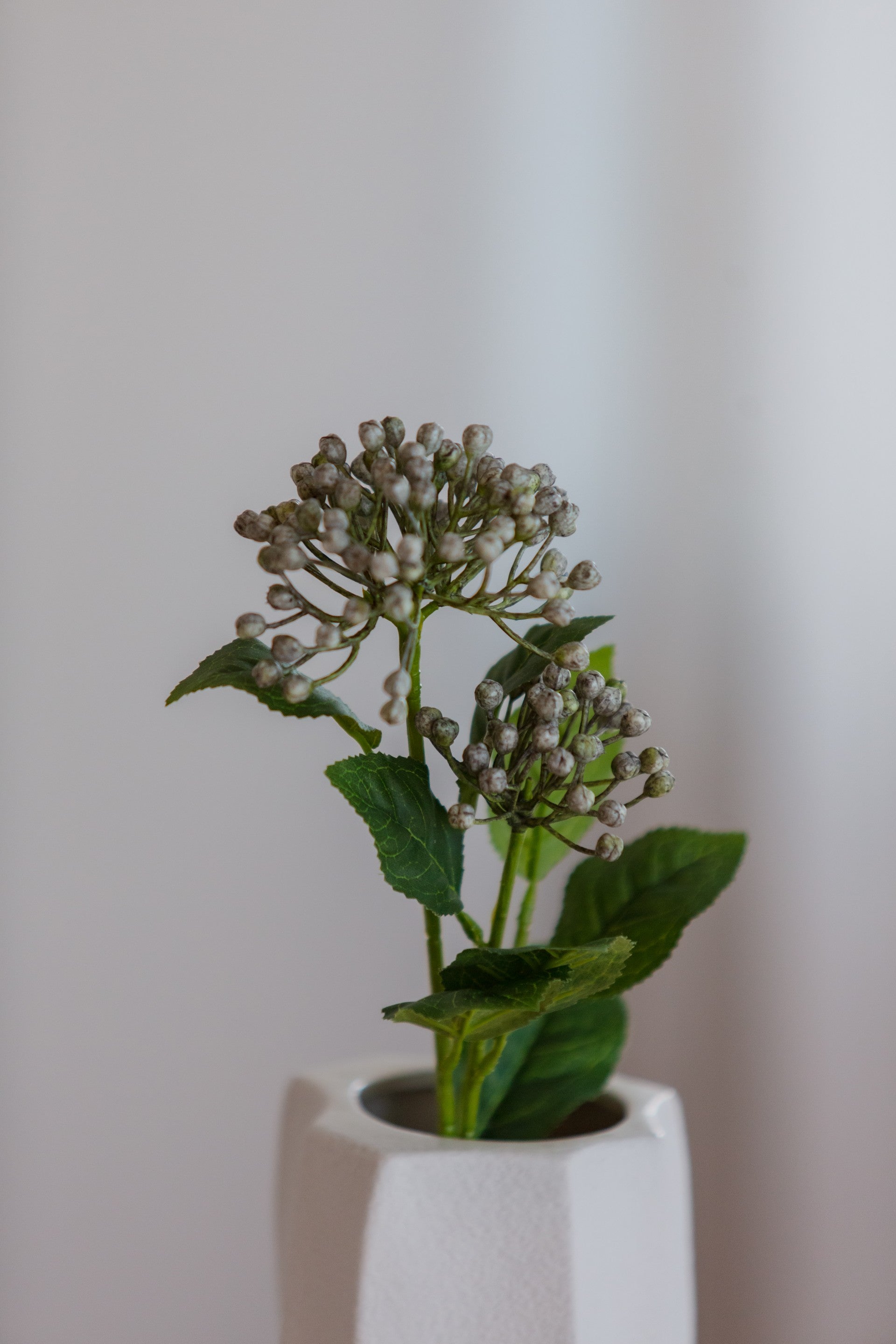 Hydrangea Berry Branch blå