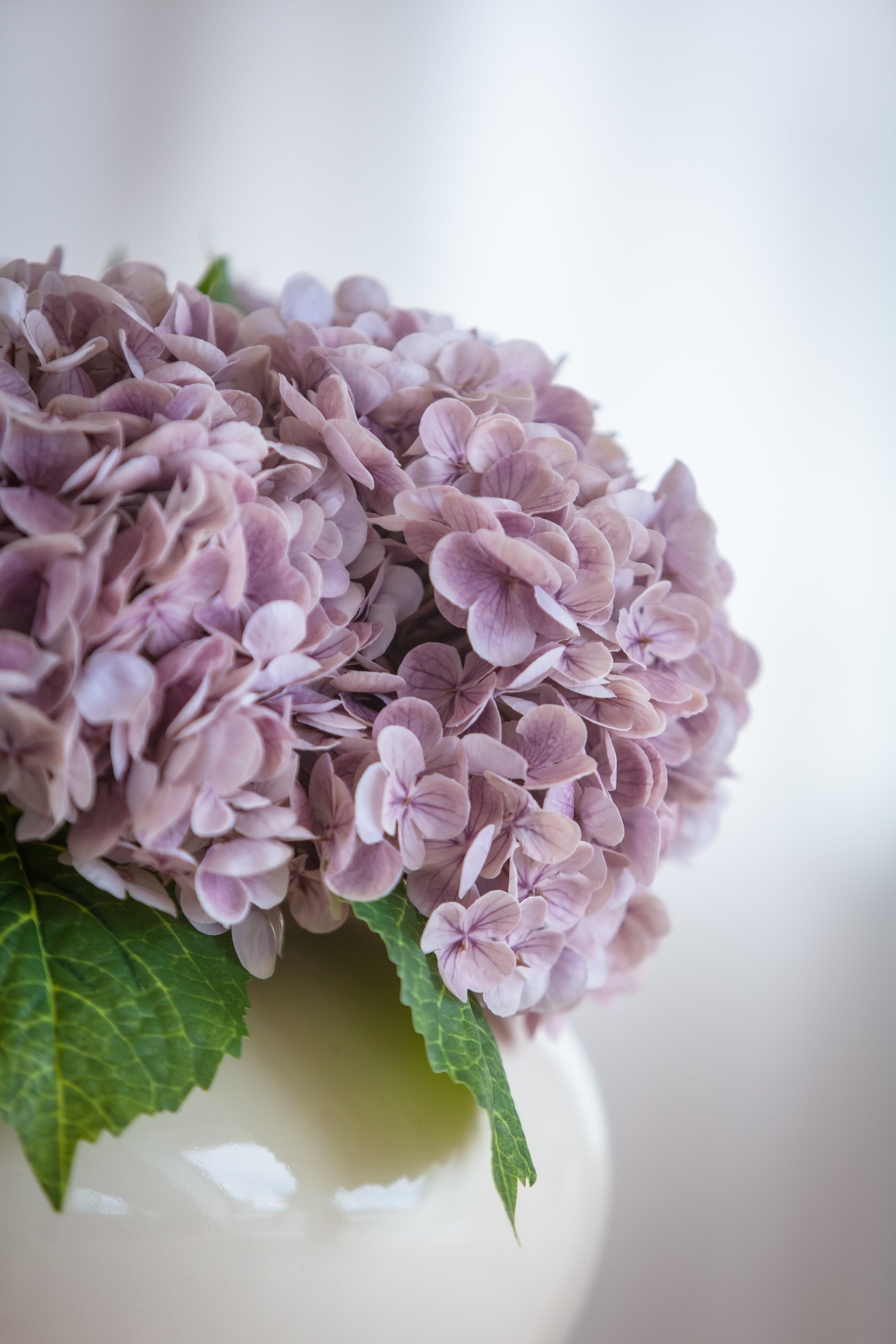 Kunstig bukett Dis til interiør