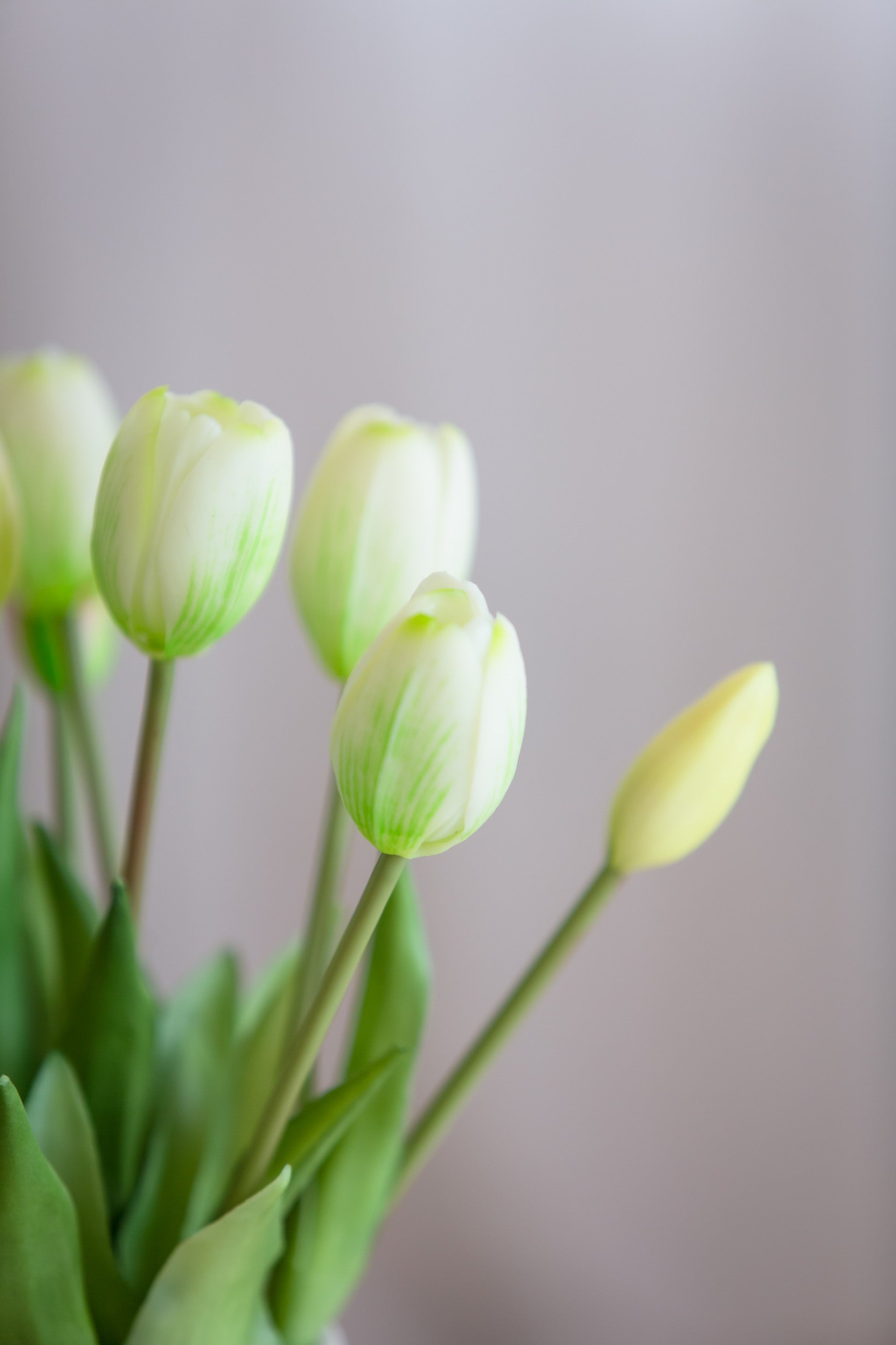 Kunstig bukett Lys vår til interiør