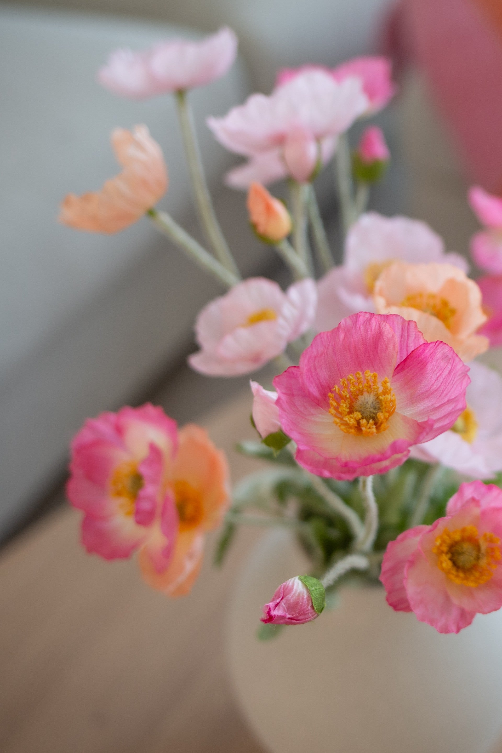 Rosa Engblomst