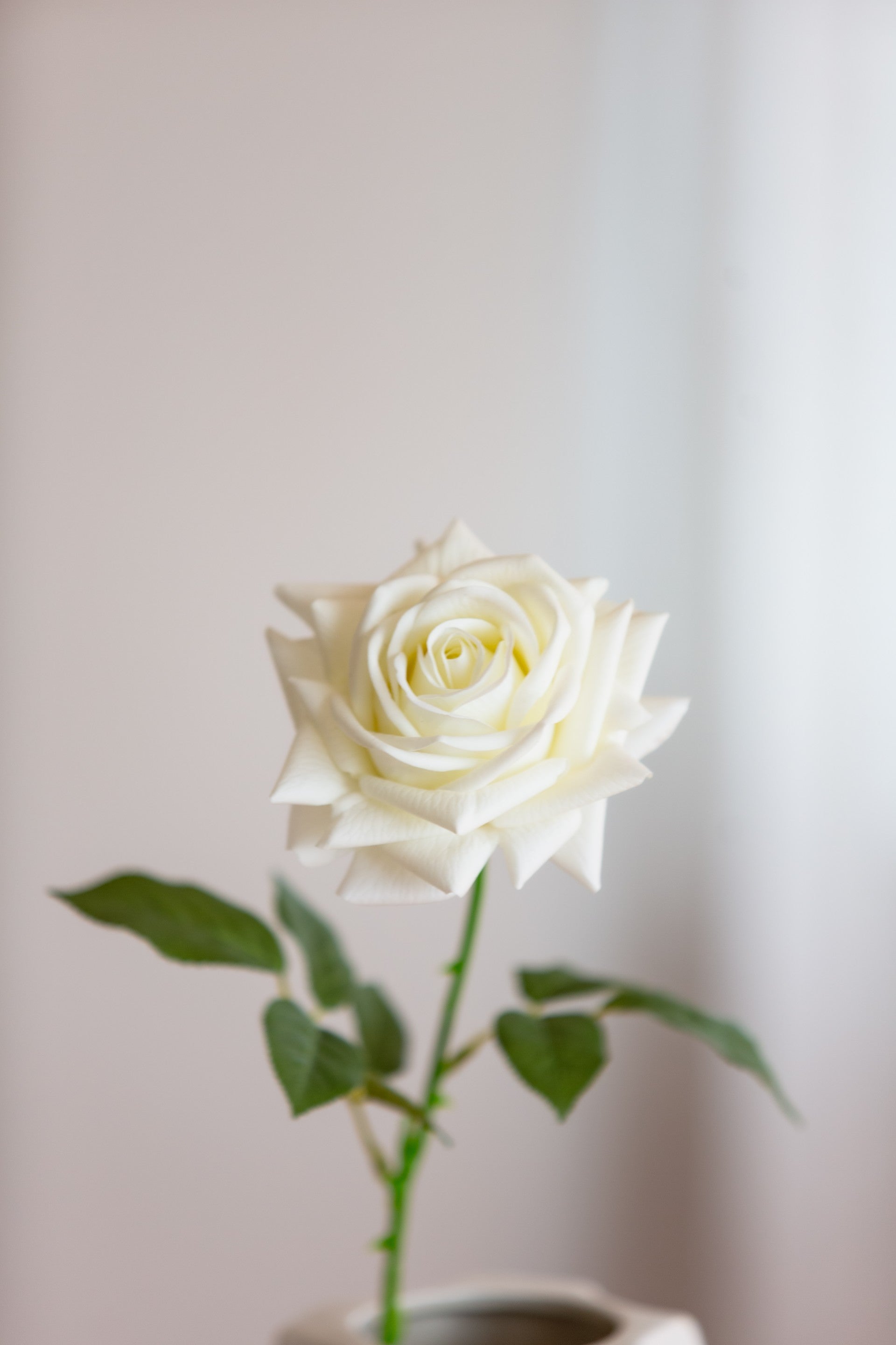 Kunstig hvit rose stilk med naturtro detaljer