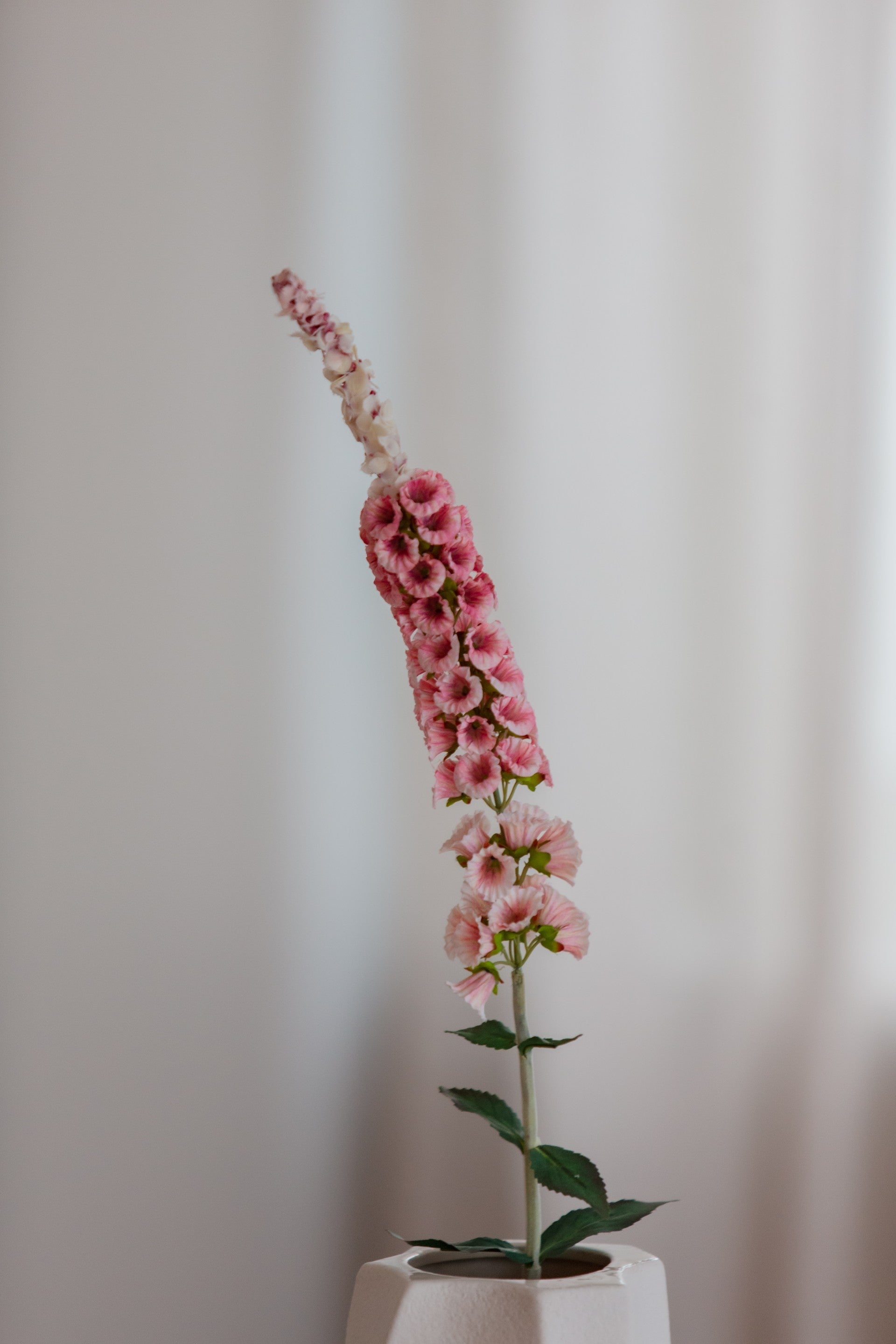 Kunstig foxtail blomst i rosa farge