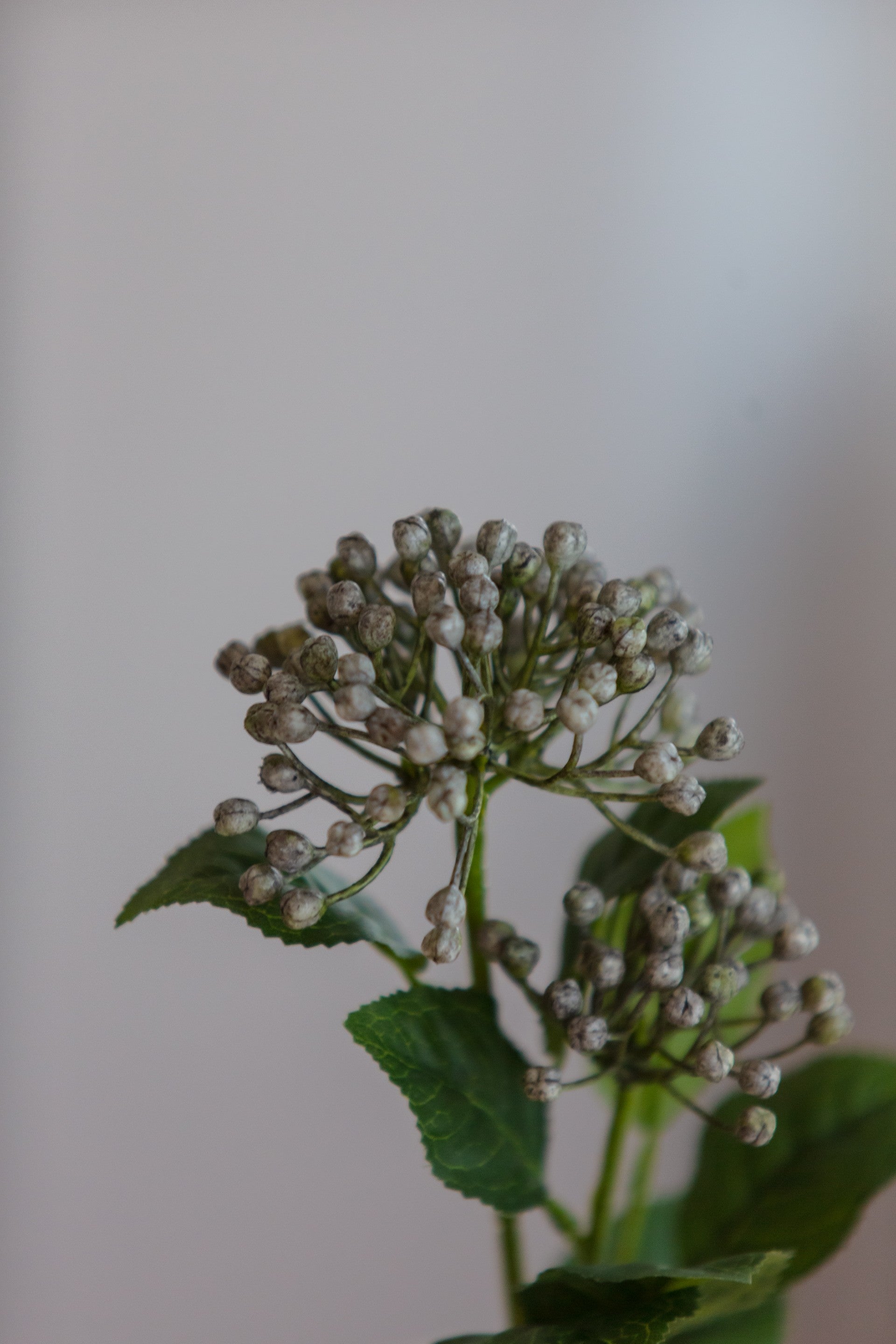 Dekorativ kunstig hydrangea berry branch blå