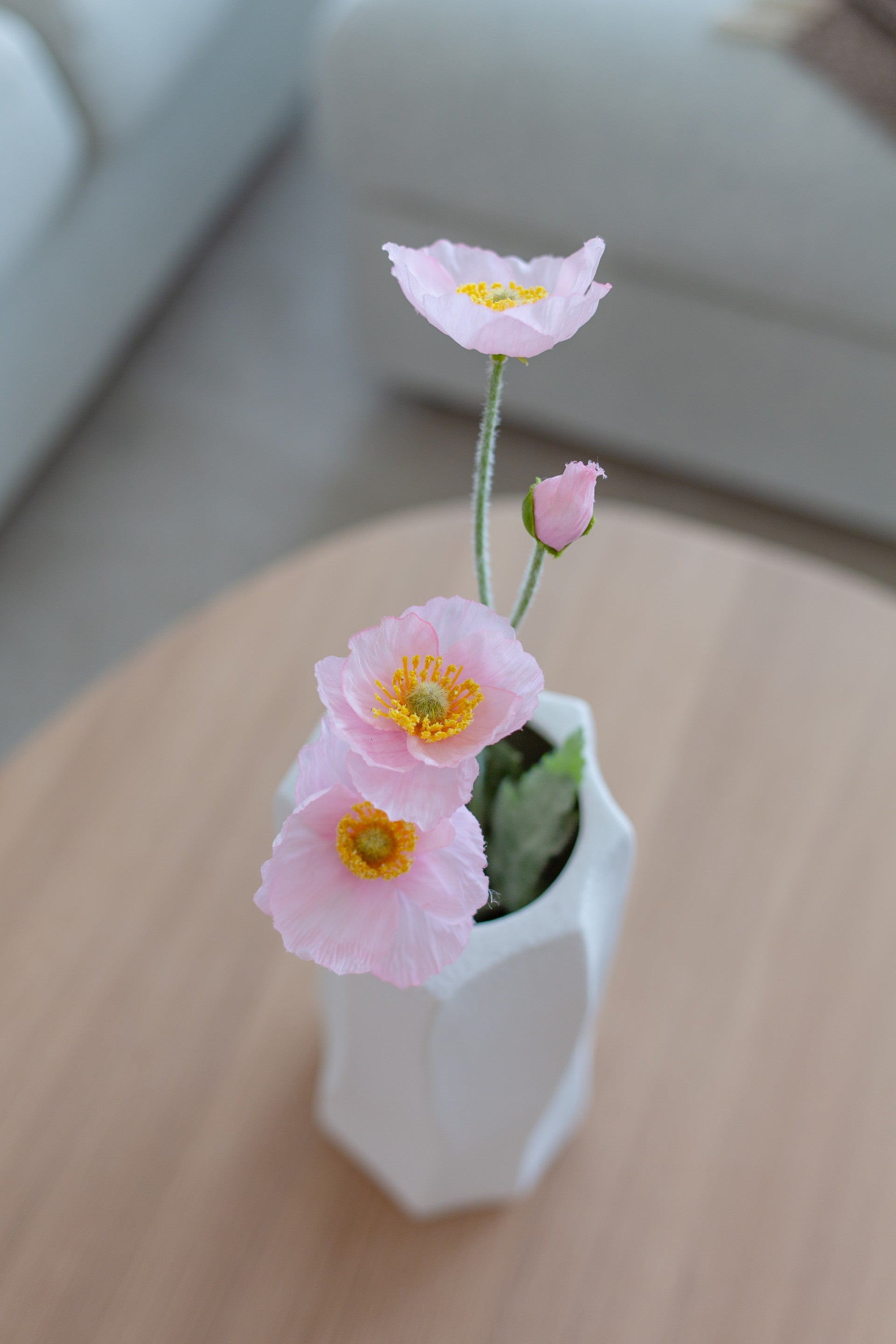 Poppy Flower Lys Rosa