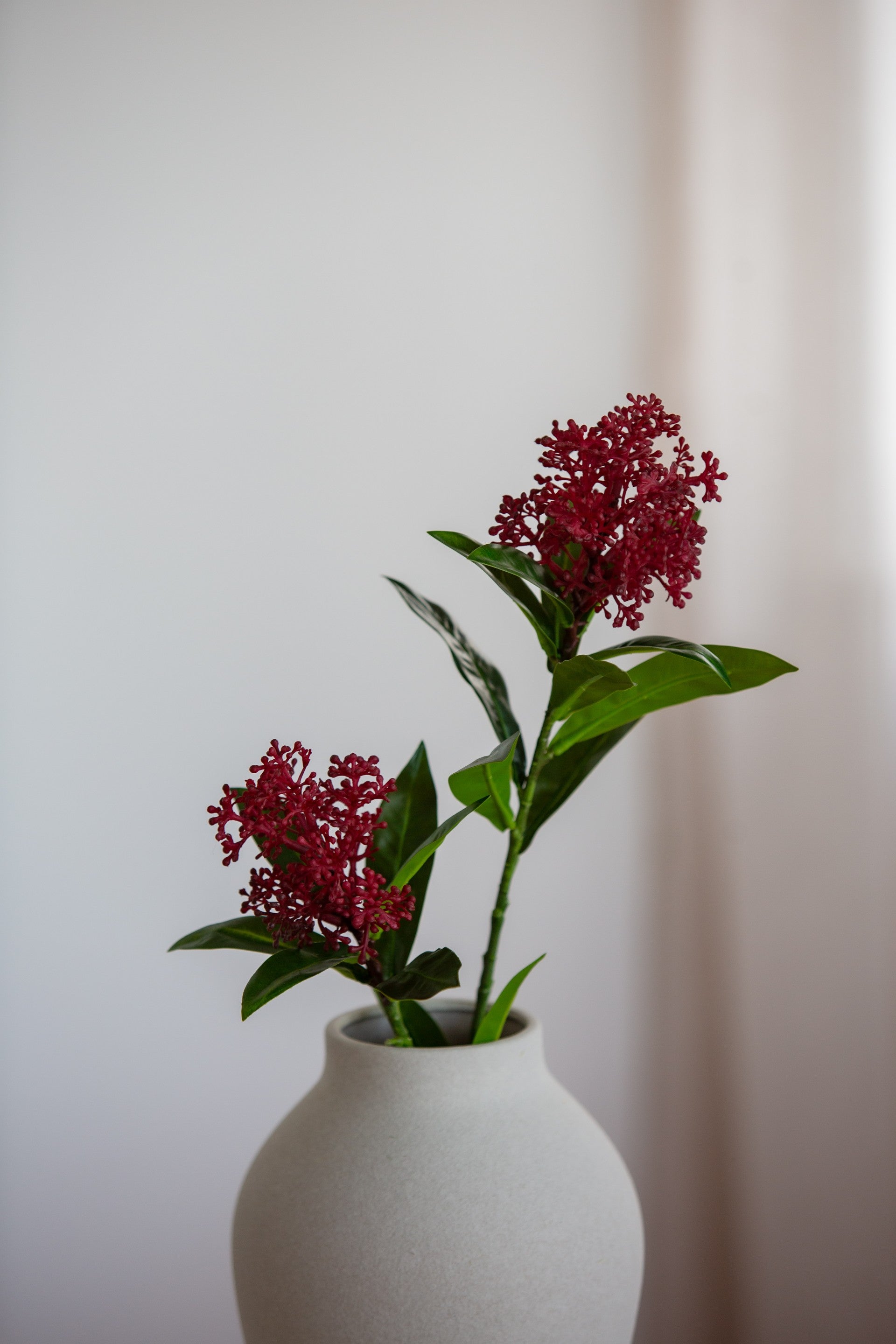 Skimmia Berry Branch rød