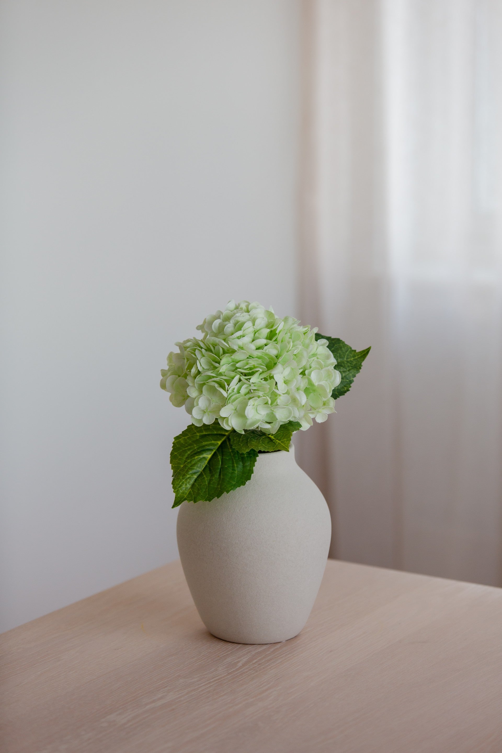 Hydrangea lys grønn