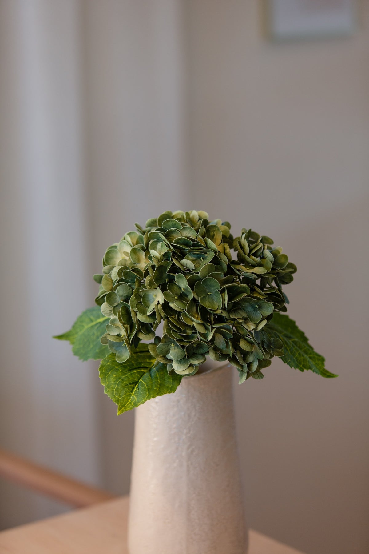Hortensia dyp grønn