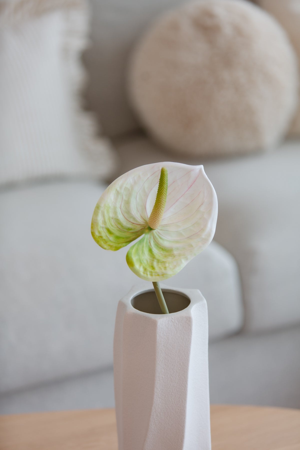 Anthurium hvit/grønn