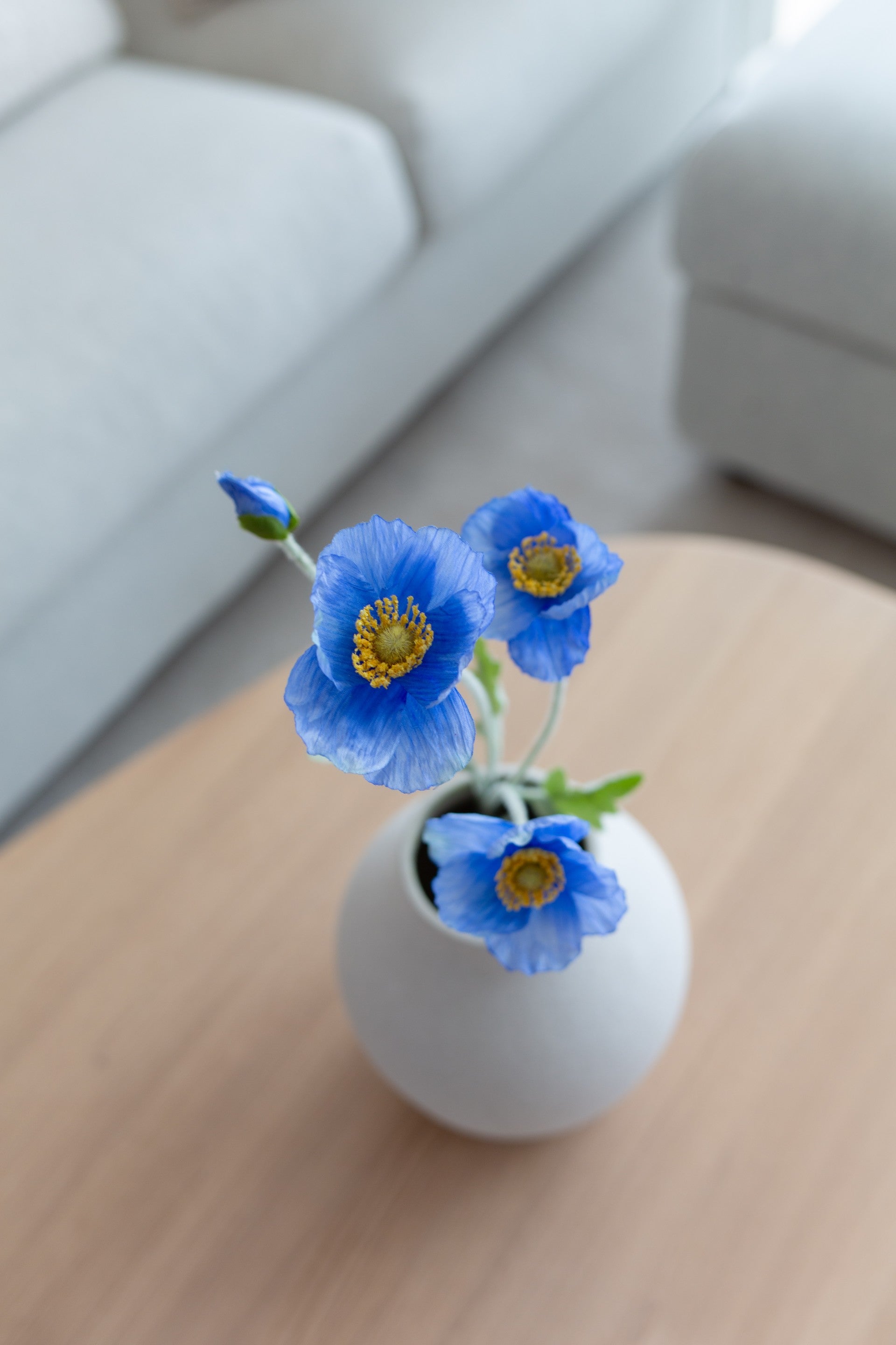 Valmueblomst blå