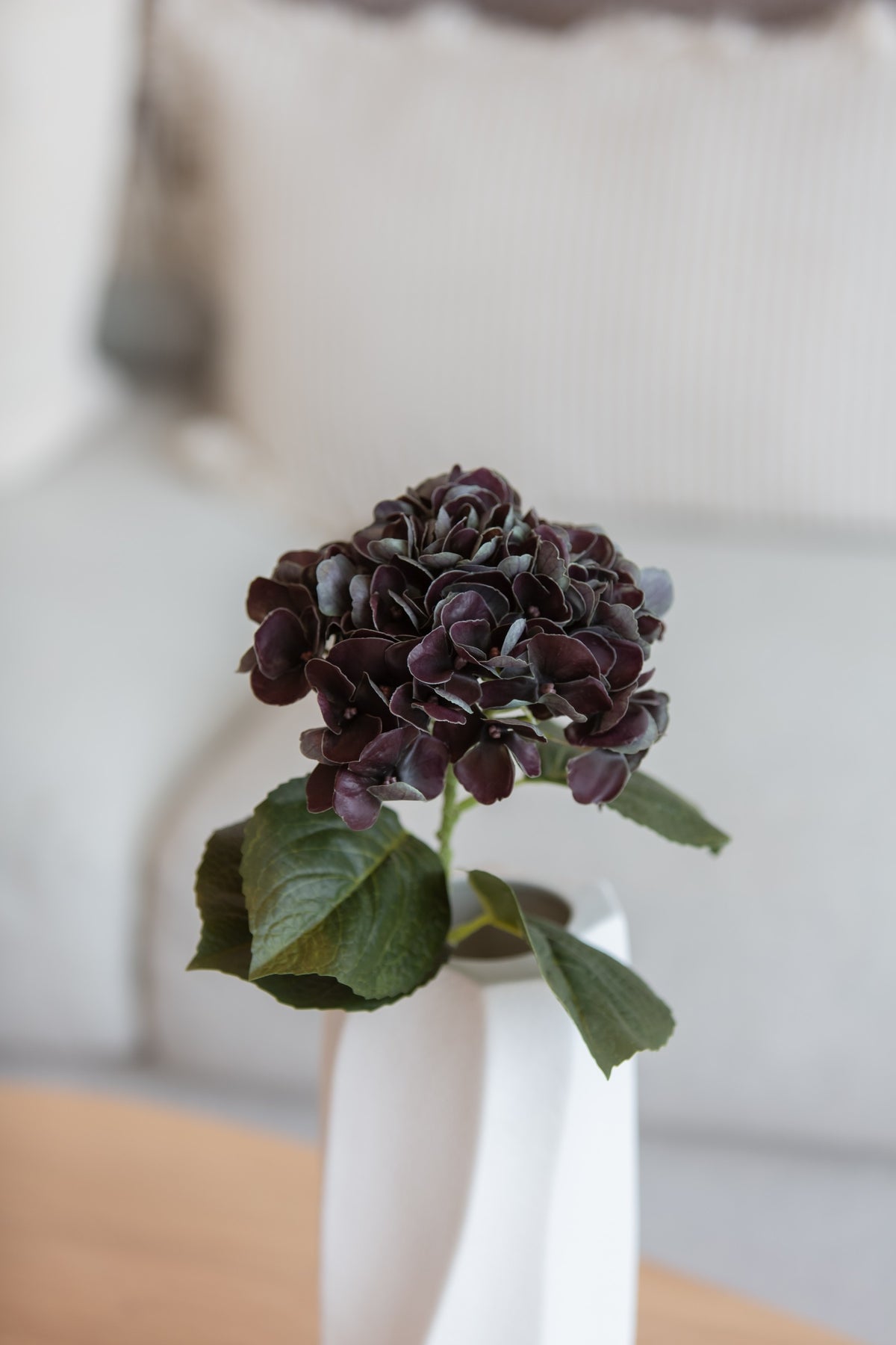 Hortensia mørk burgunder