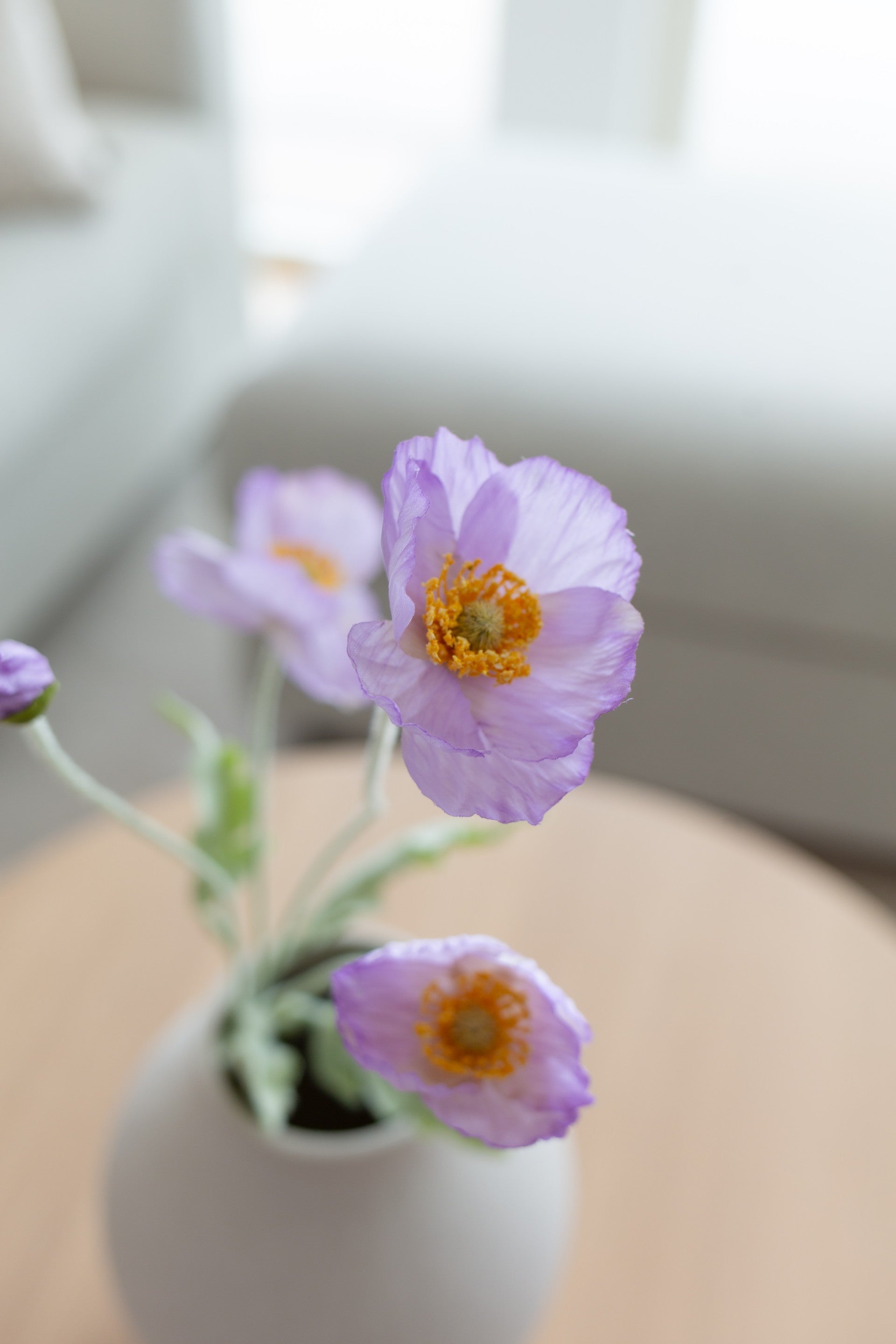 Valmueblomst lilla