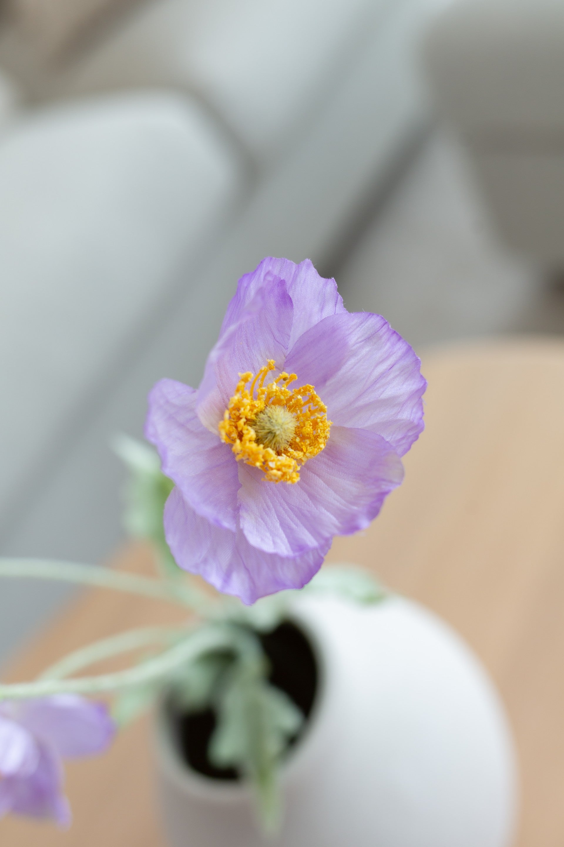 Valmueblomst lilla