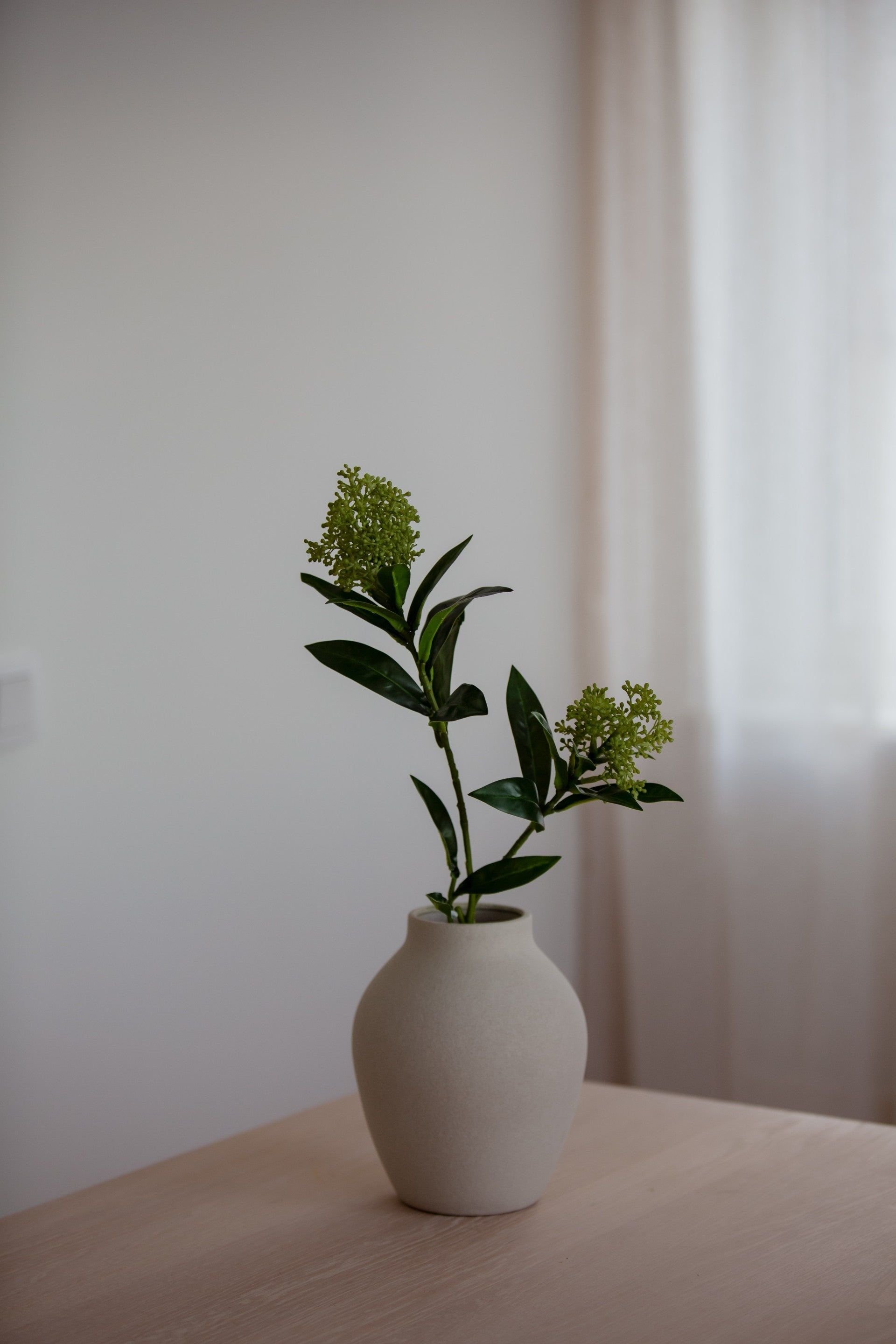 Skimmia Berry Branch grønn