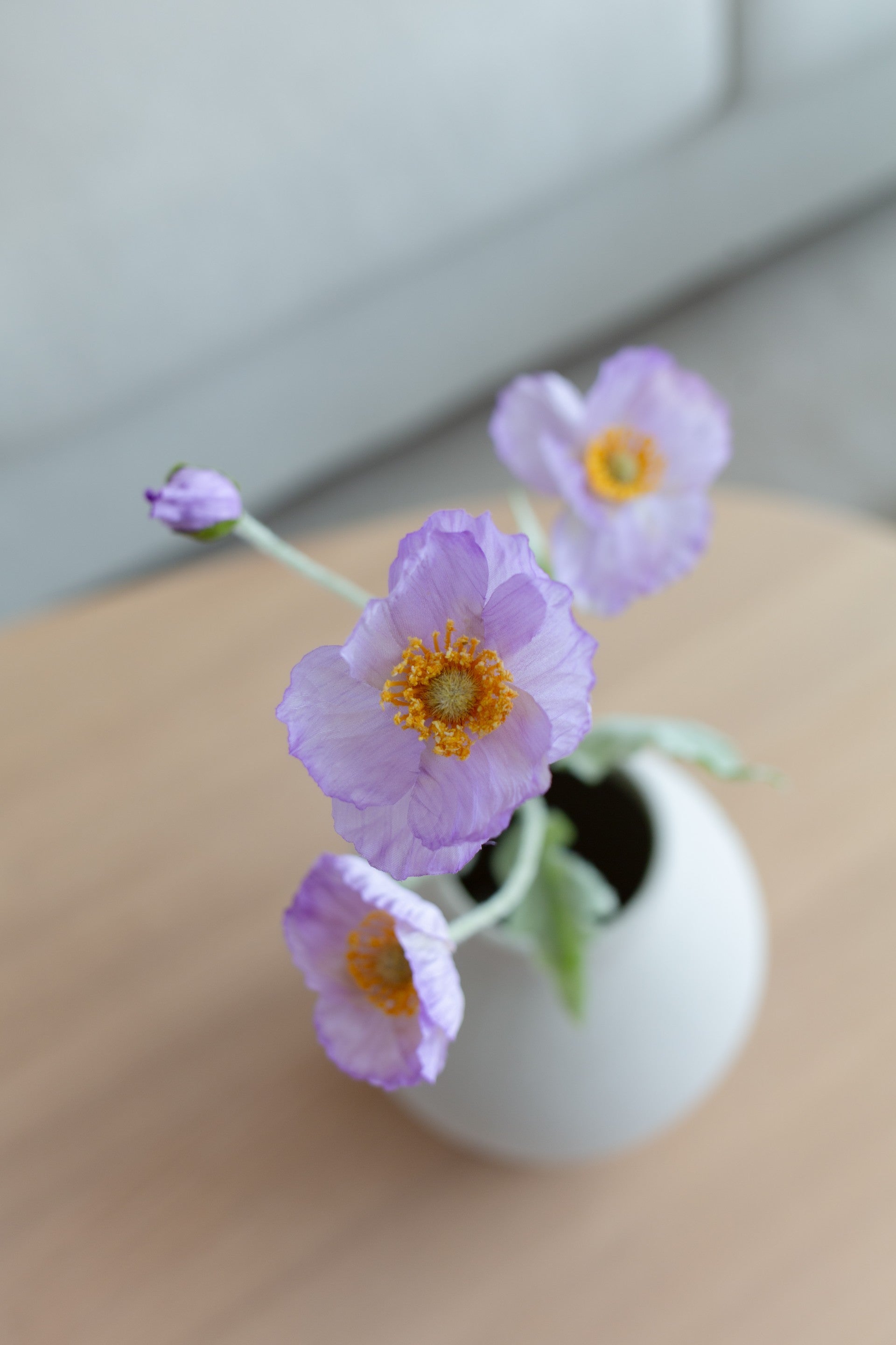 Valmueblomst lilla