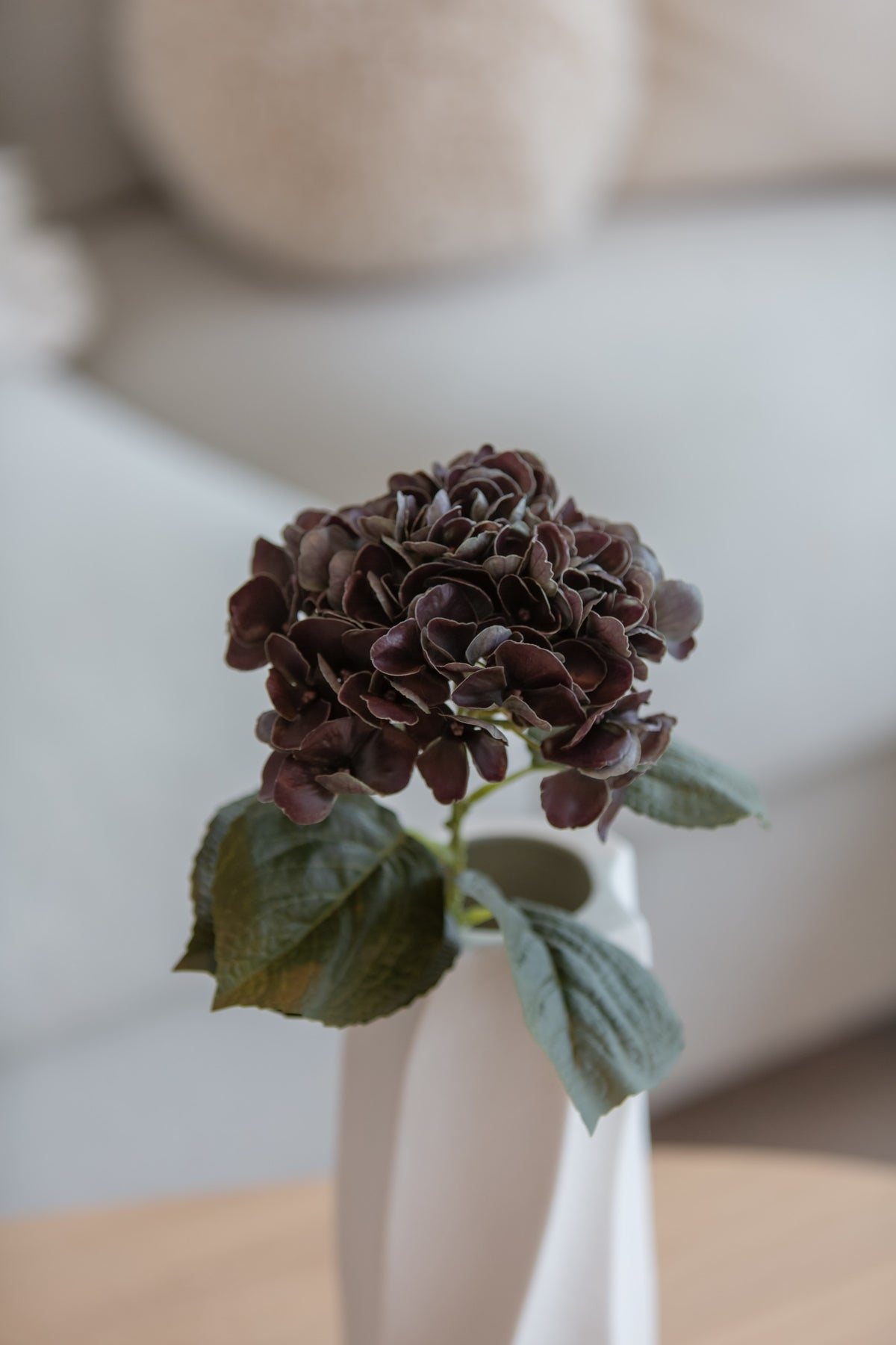 Hortensia mørk burgunder