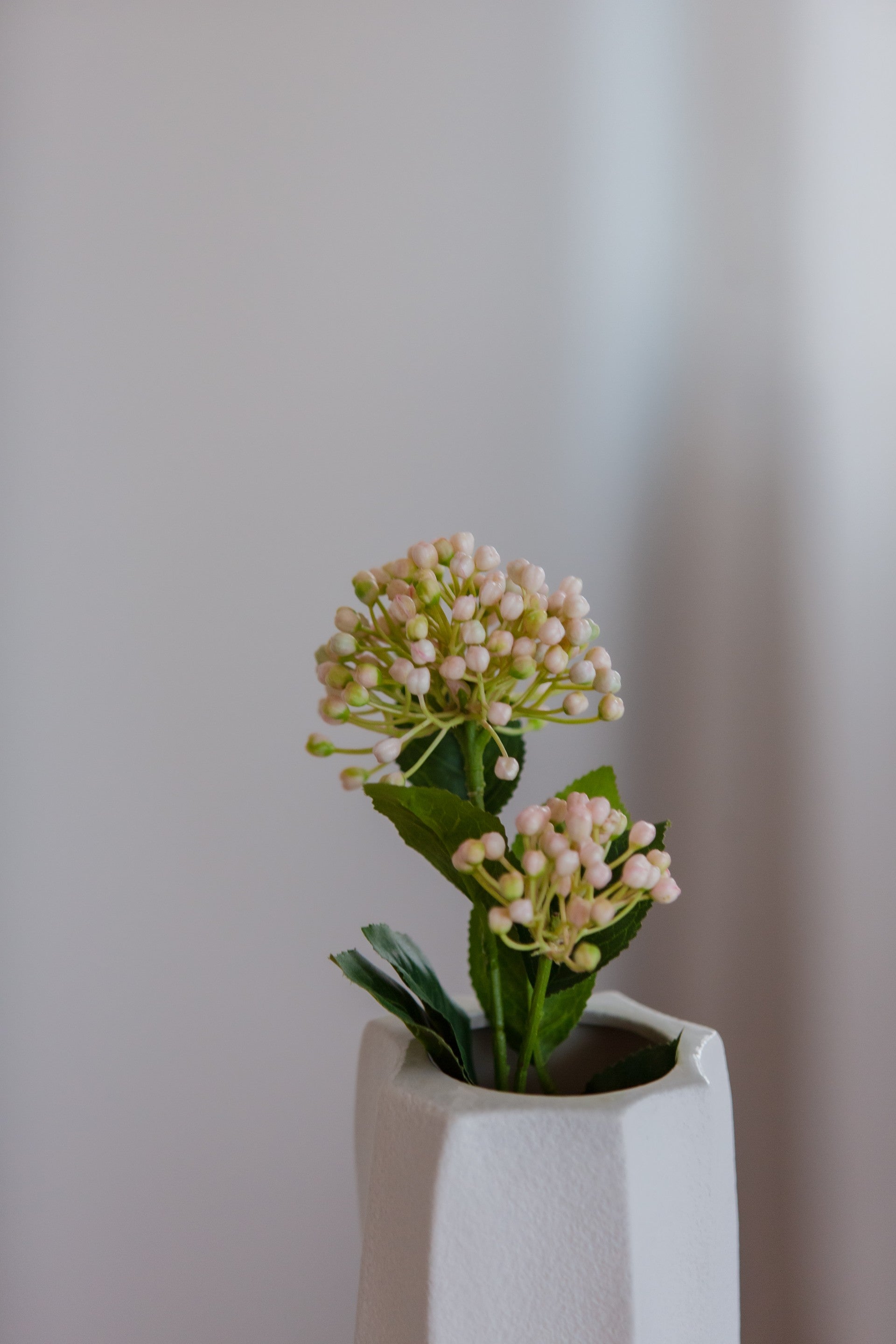 Hydrangea Berry Branch lys rosa