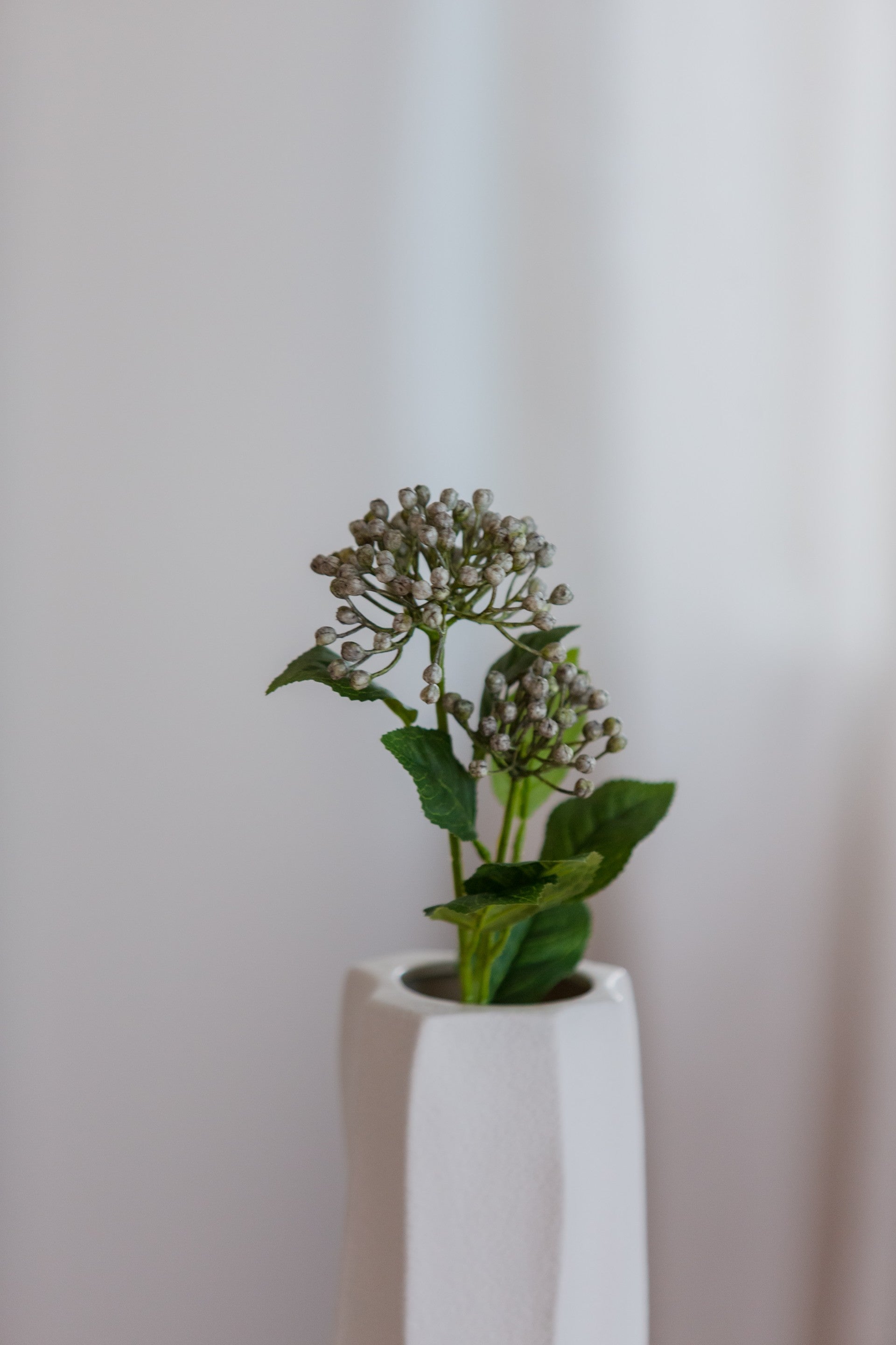 Hydrangea Berry Branch blå