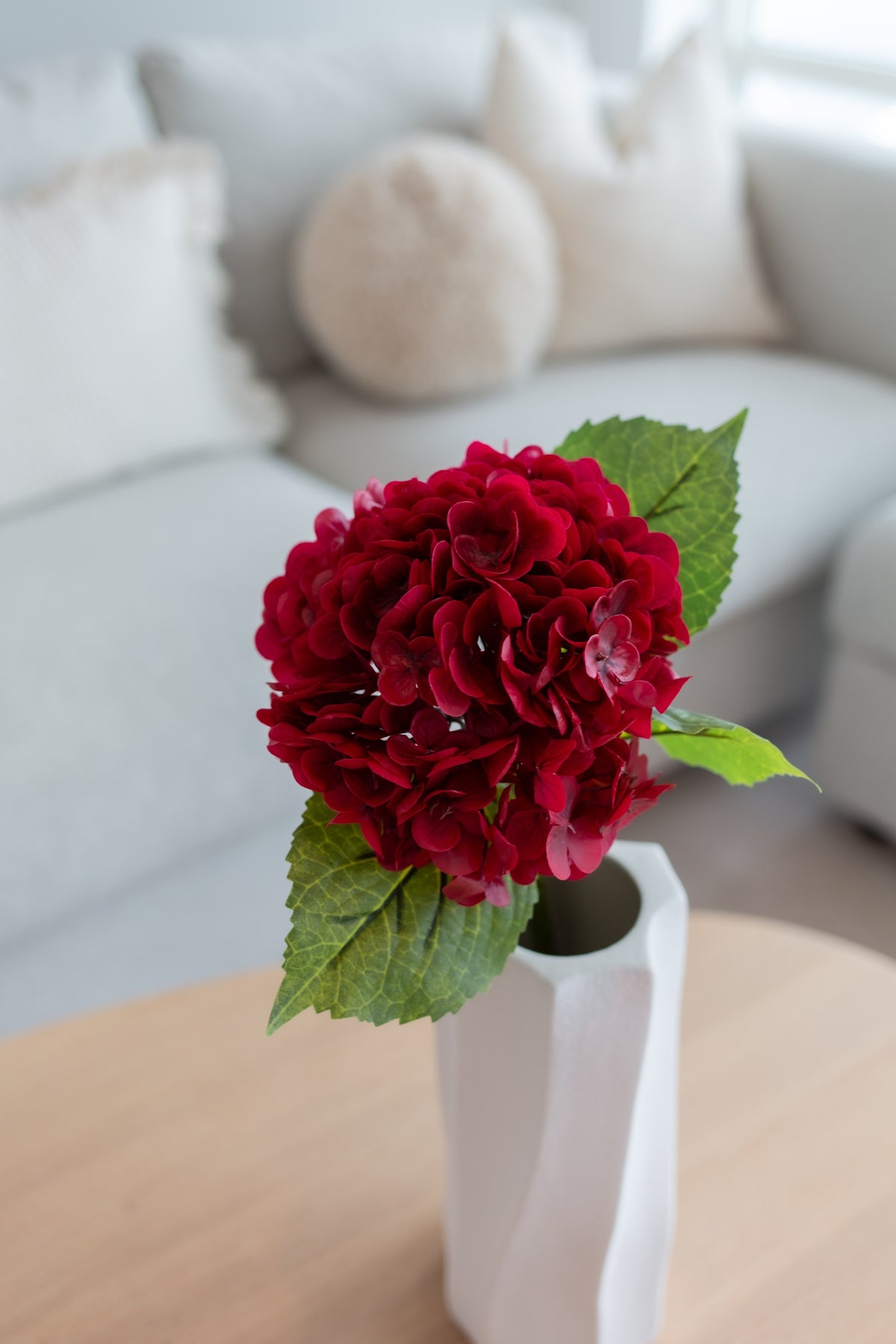 Hortensia rød