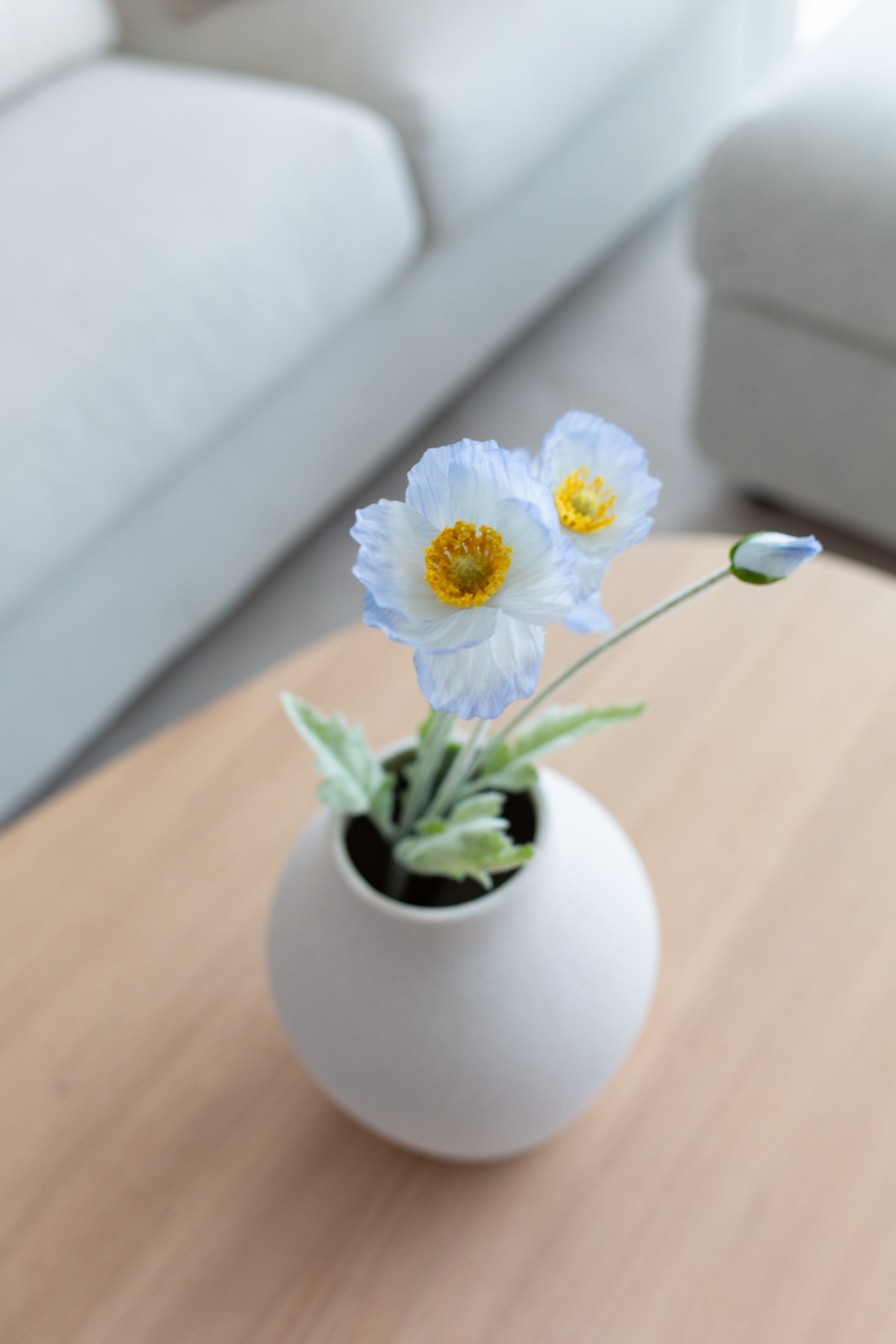 Valmueblomst lys blå