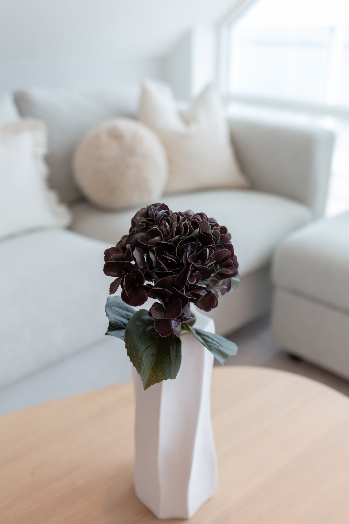 Hortensia mørk burgunder