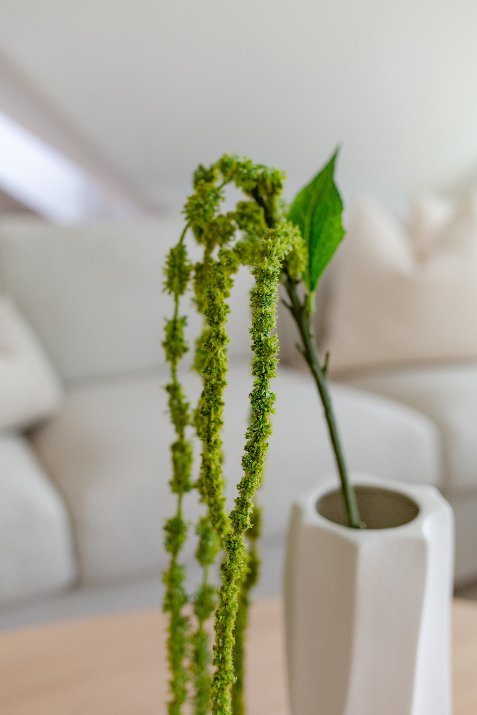 Naturtro kunstig amaranthus mosegrønn som dekorativ hengende stilk