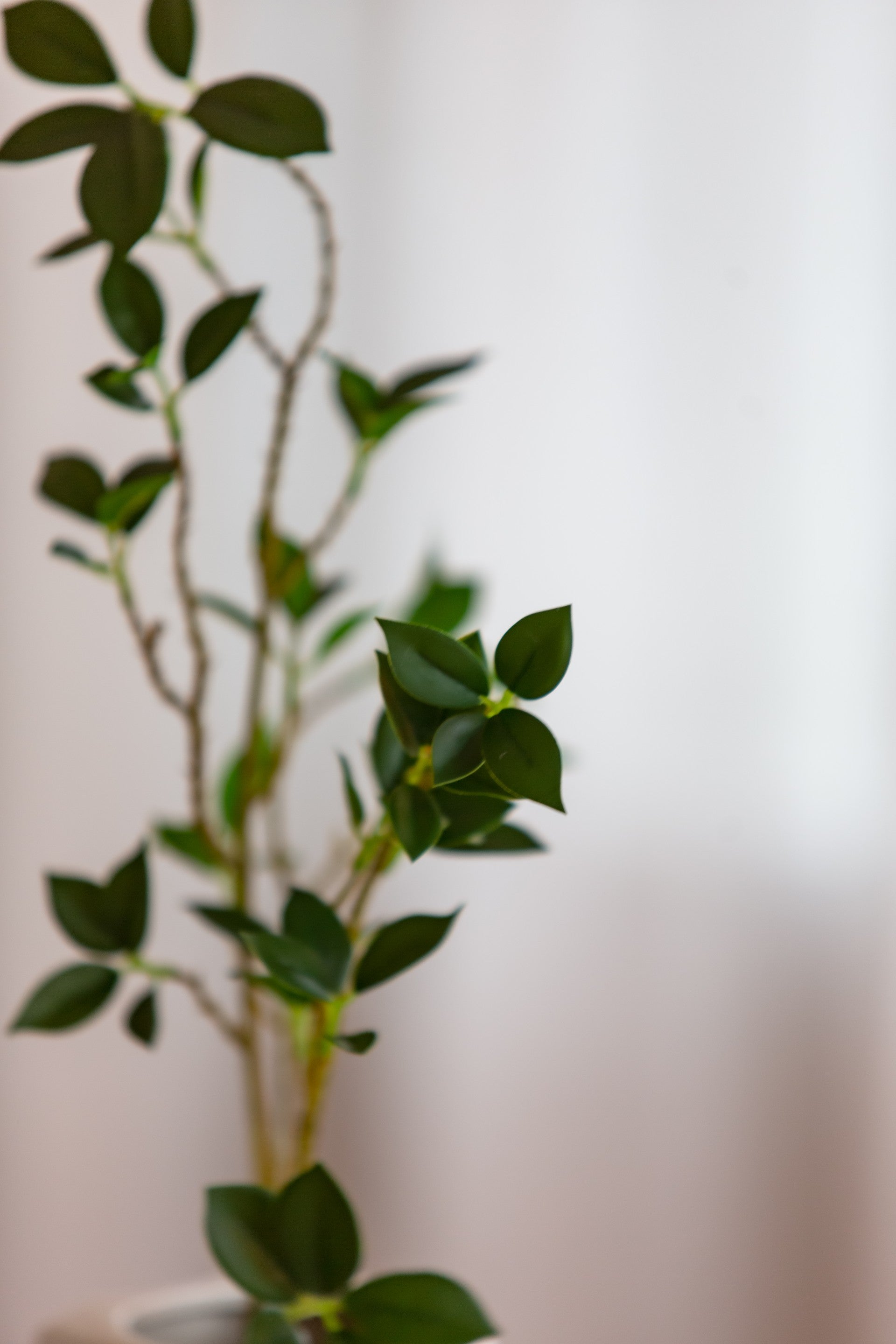 Kunstig ficus med små naturtro blader i grønn farge