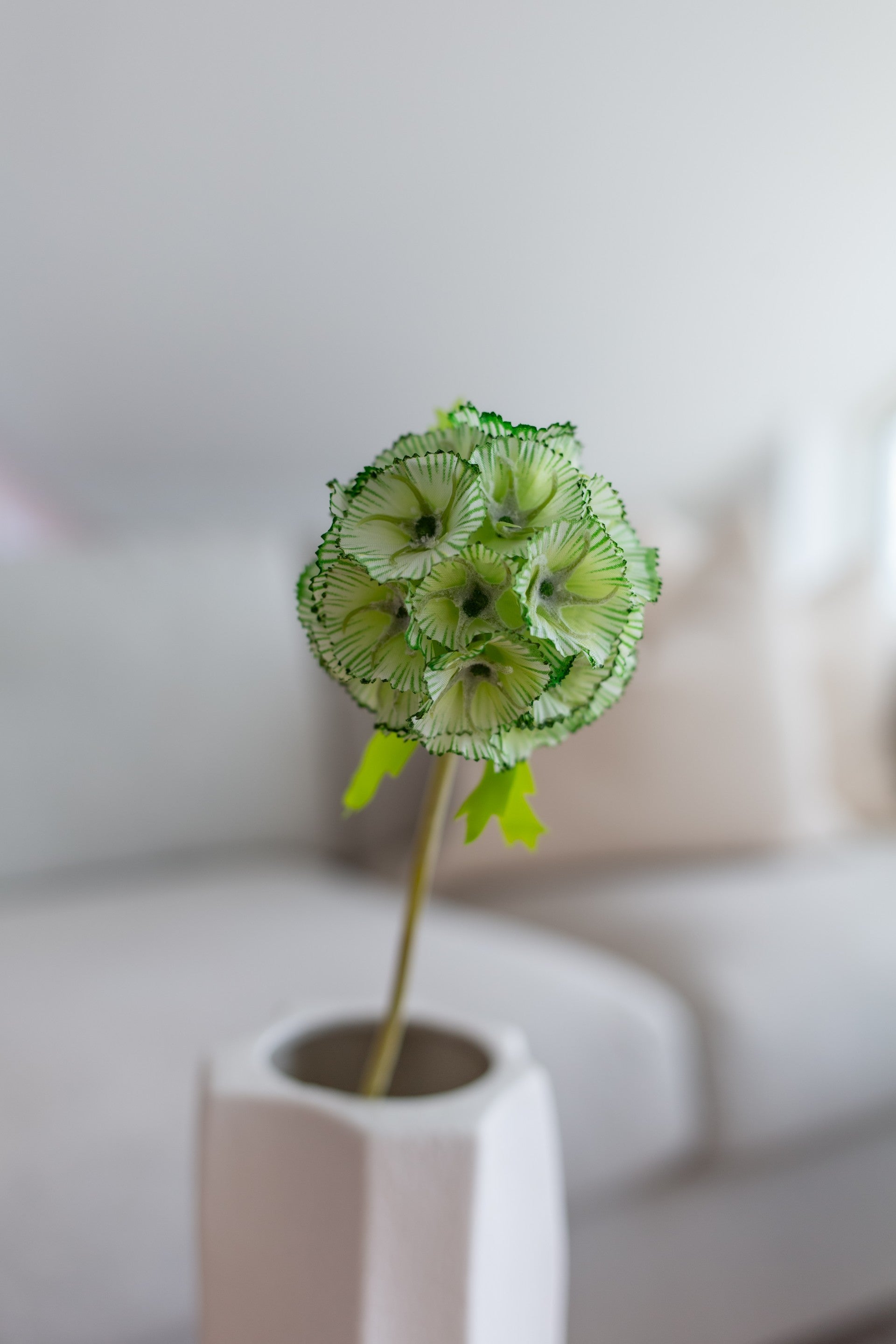 Kunstig scabiosa grønn med naturtro blomsterhode i hvit vase