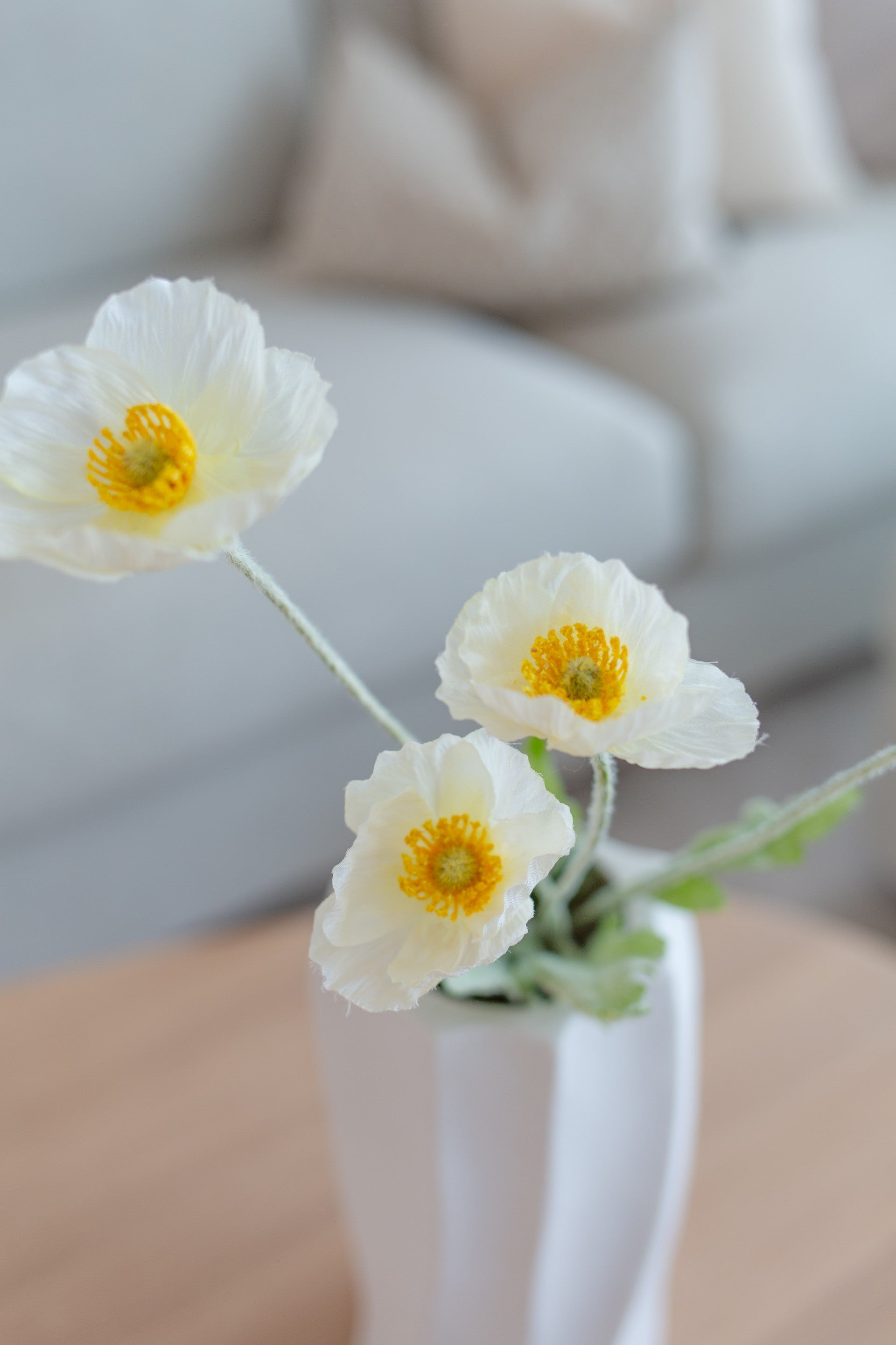 Poppy Flower Hvit