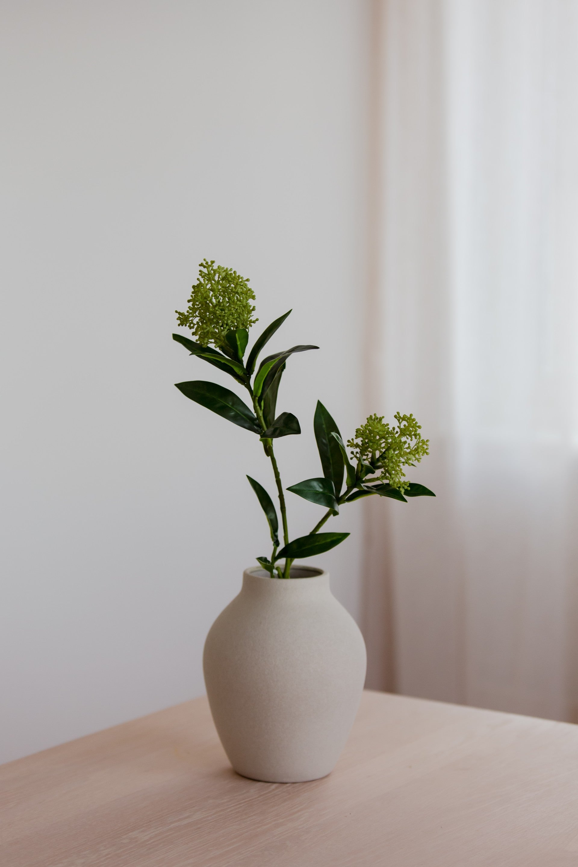 Skimmia Berry Branch grønn