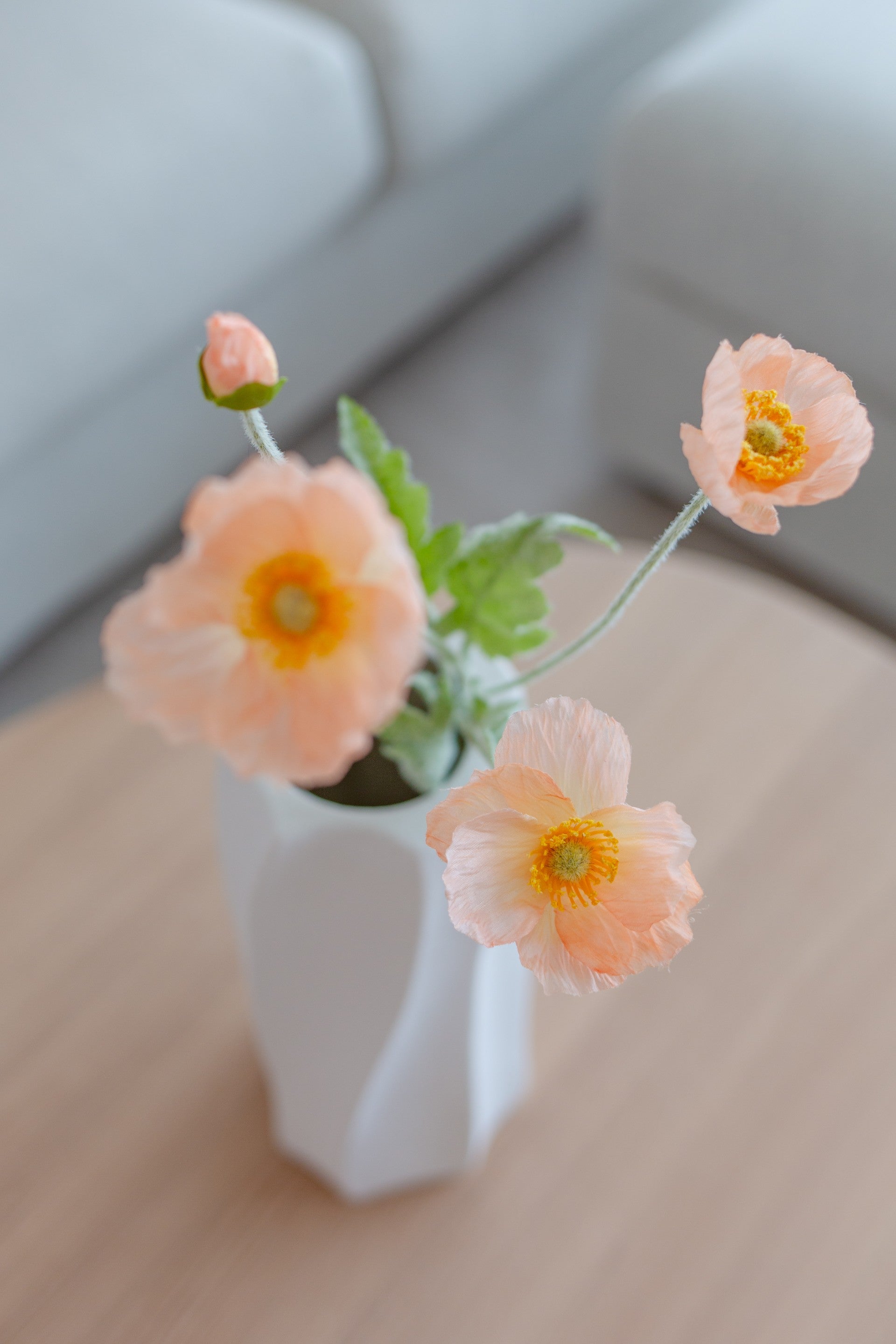 Poppy Flower Korall