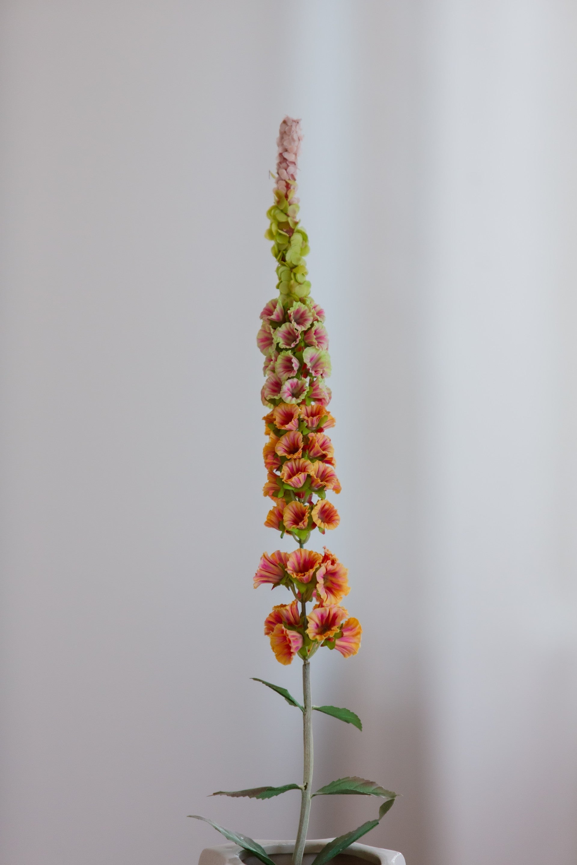 Kunstig foxtail blomst i oransje farge