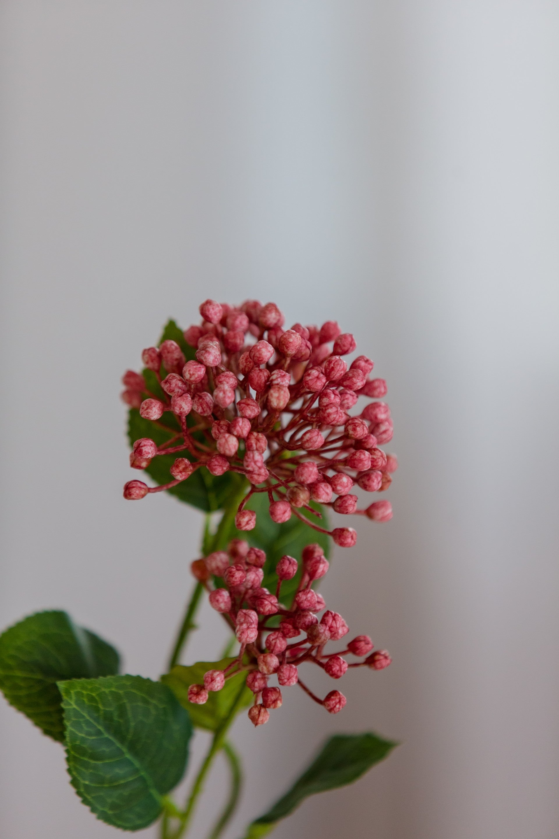 Dekorativ kunstig hydrangea berry branch rosa