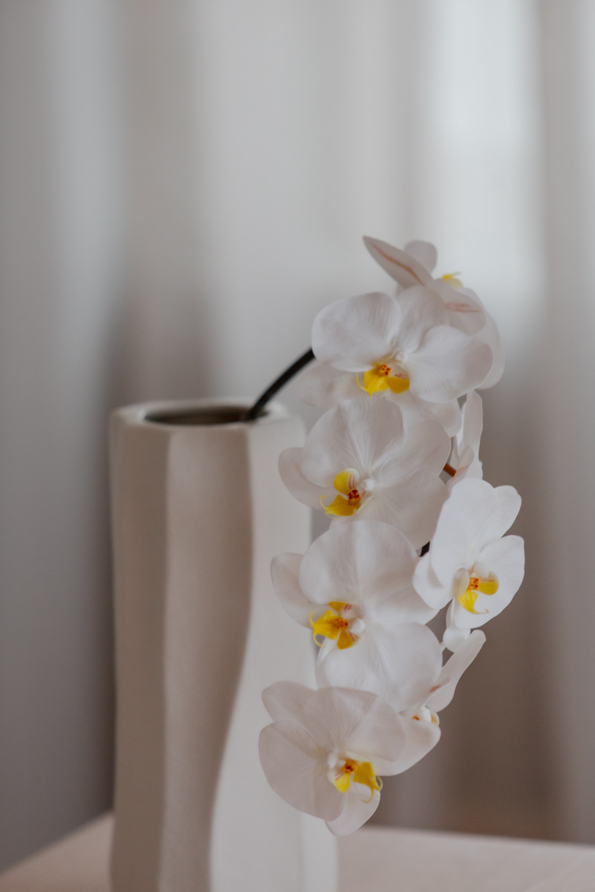 Elegant kunstig orkidé blomst hvit