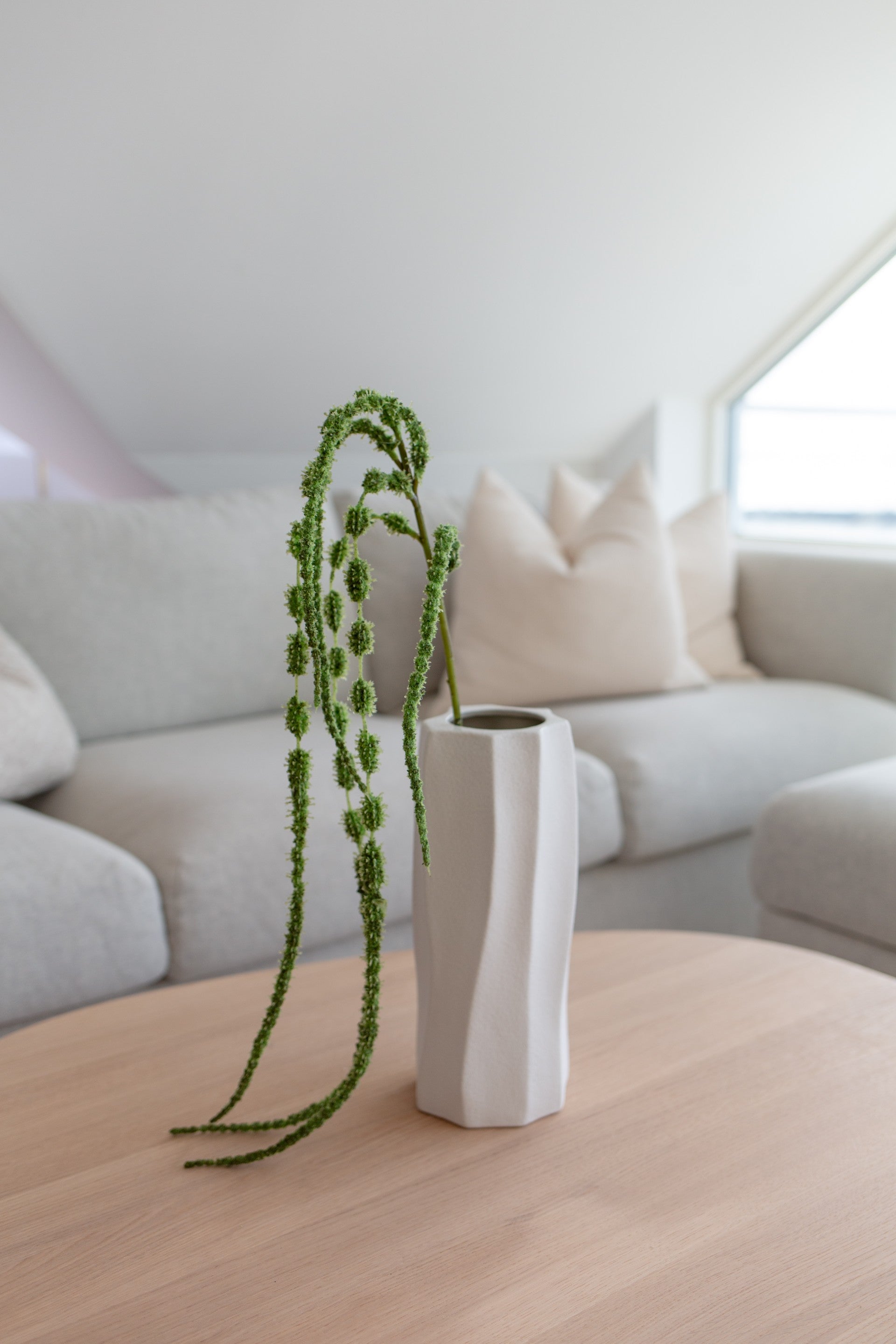 Amaranthus Six Forks Grønn