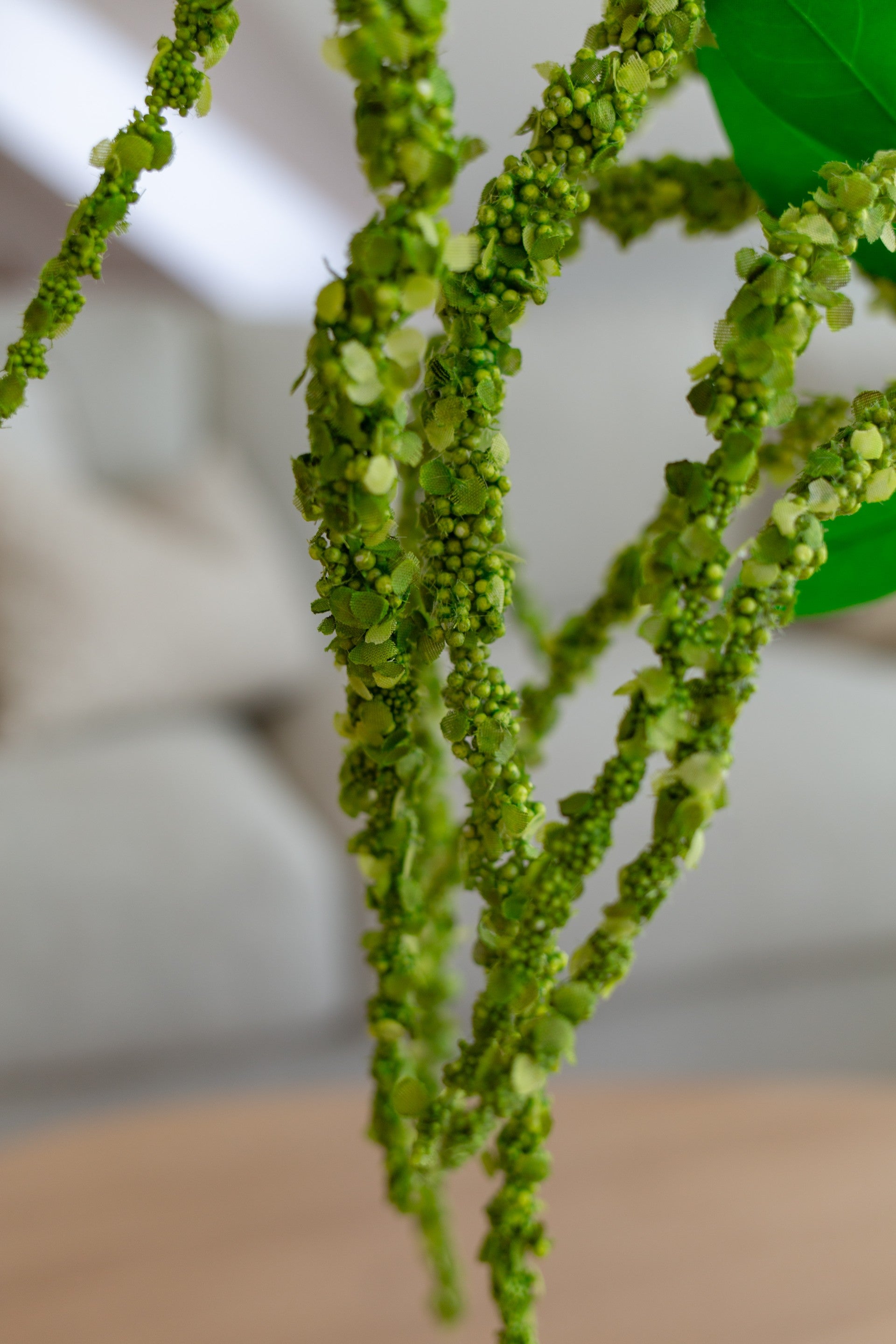 Amaranthus Flower Grønn