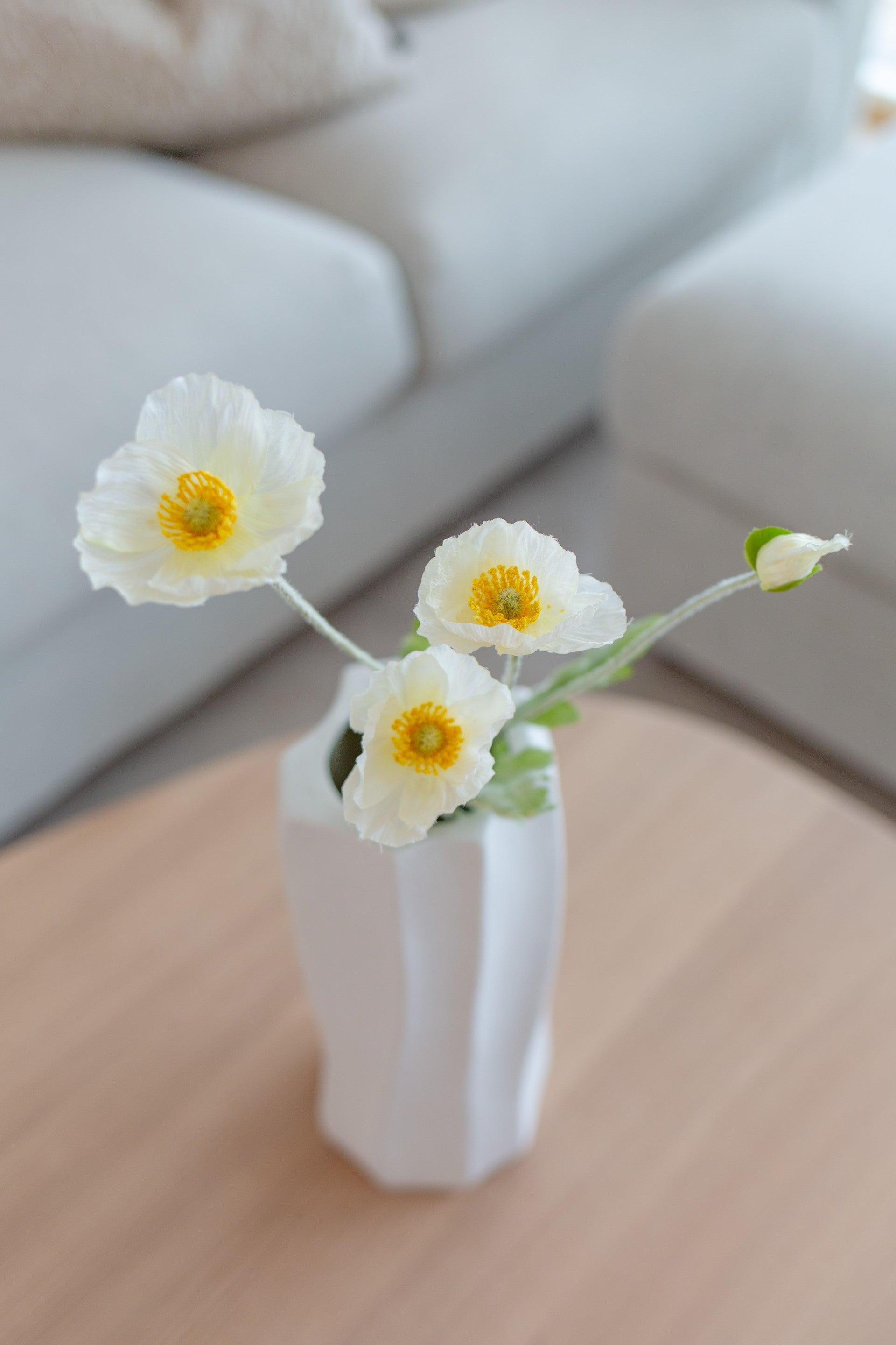 Poppy Flower Hvit