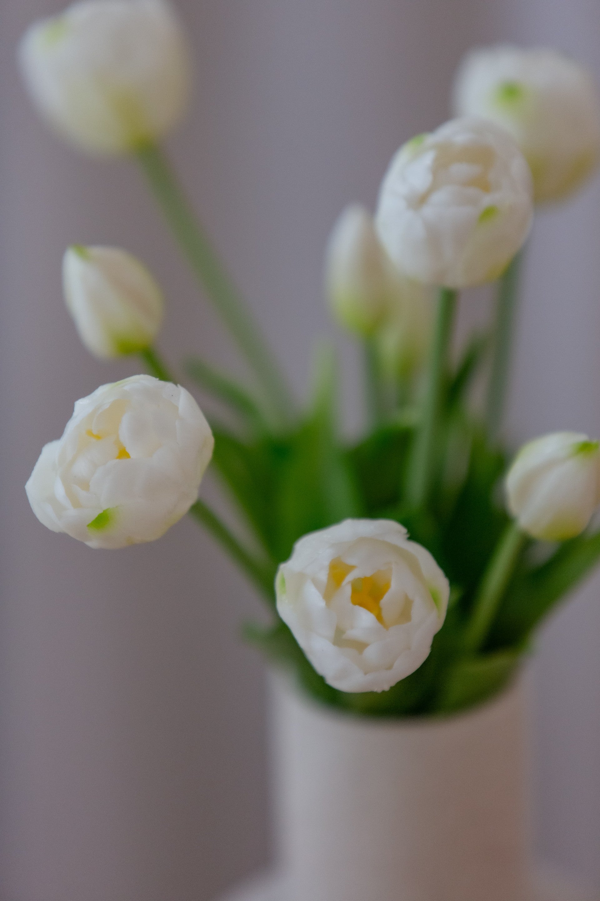 Detalj av kunstige hvite tulipaner