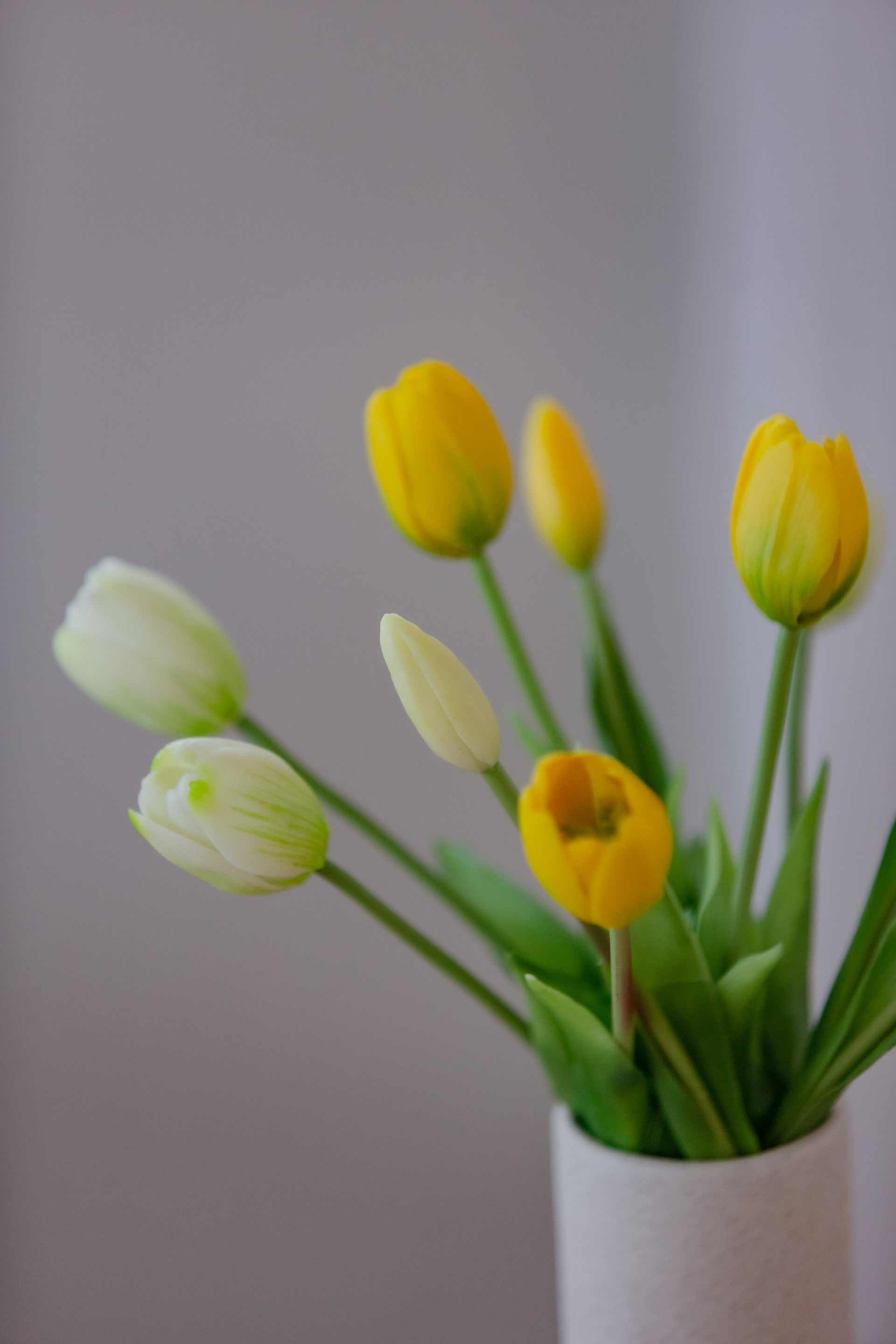 Nærbilde av kunstige tulipaner i gult og hvitt