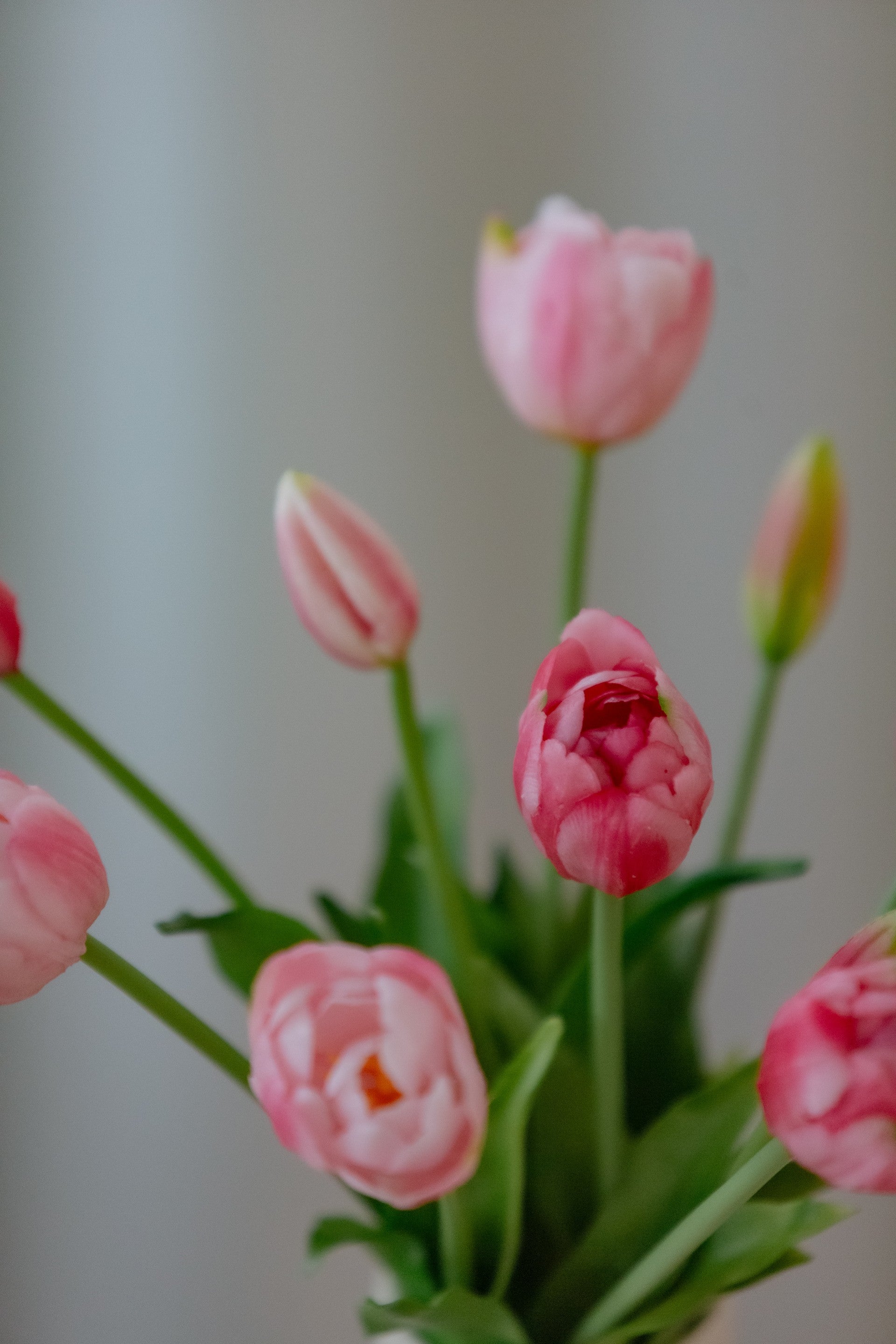 Nærbilde av kunstige tulipaner i ulike rosafarger