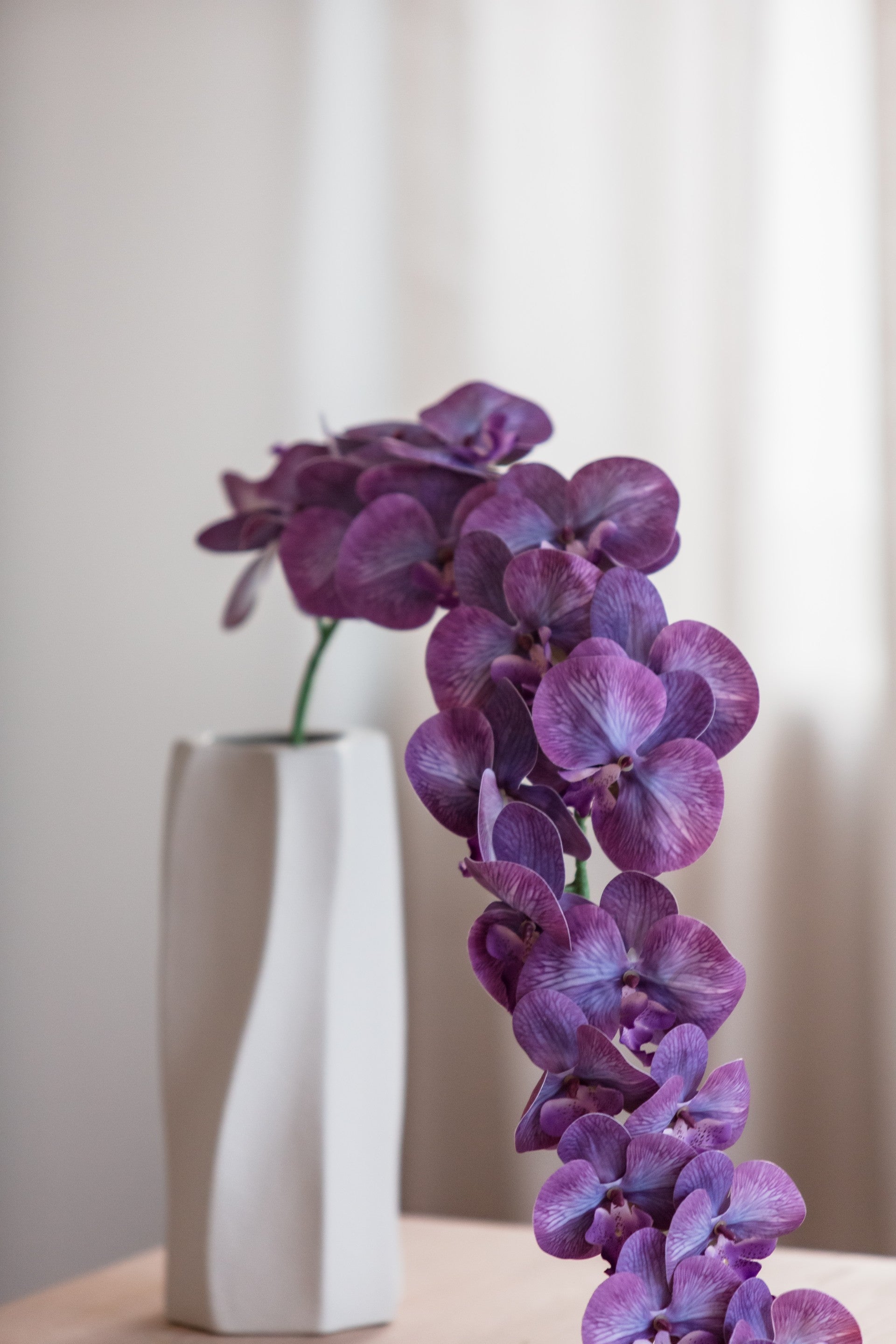 Orkidé lilla