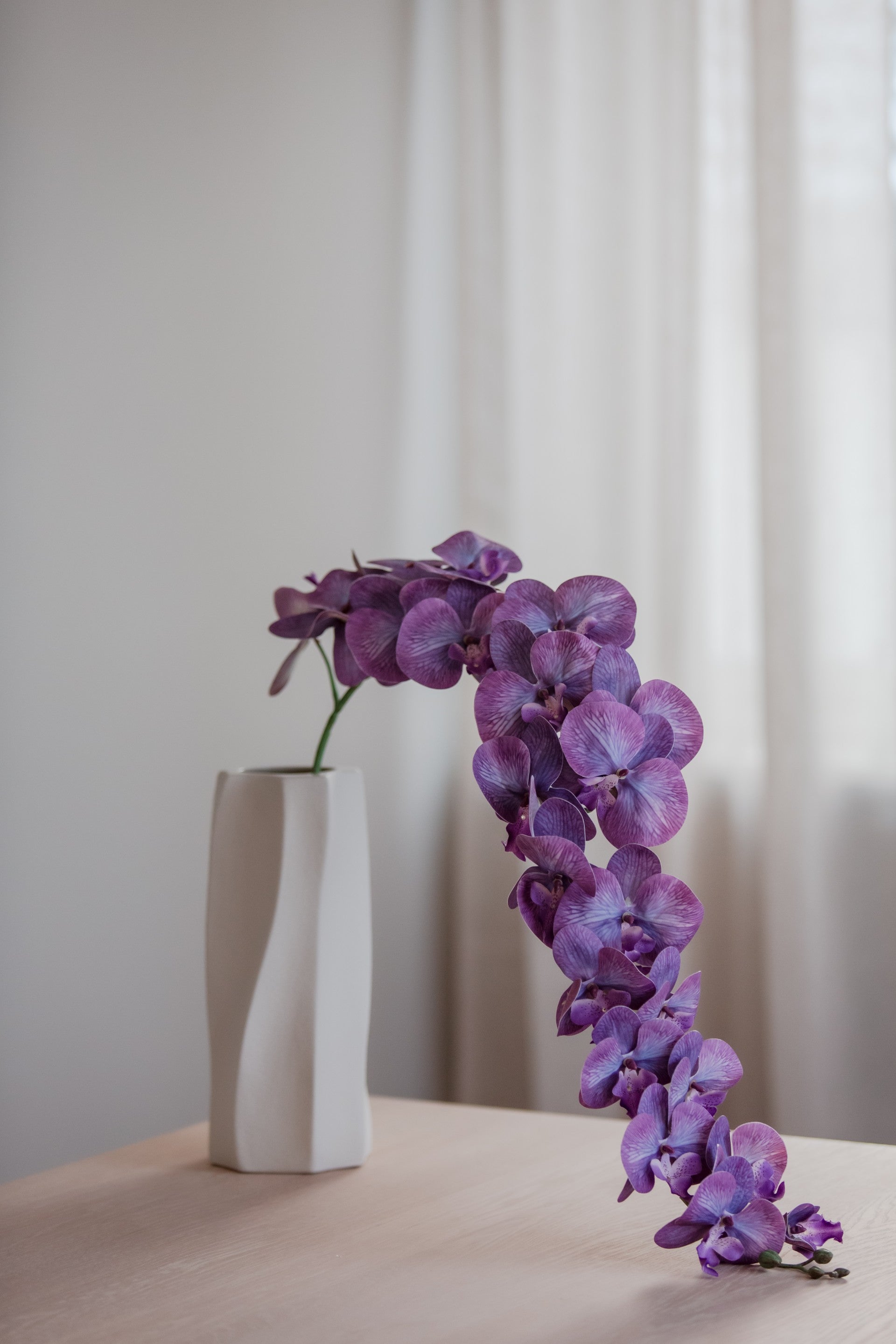 Orkidé lilla