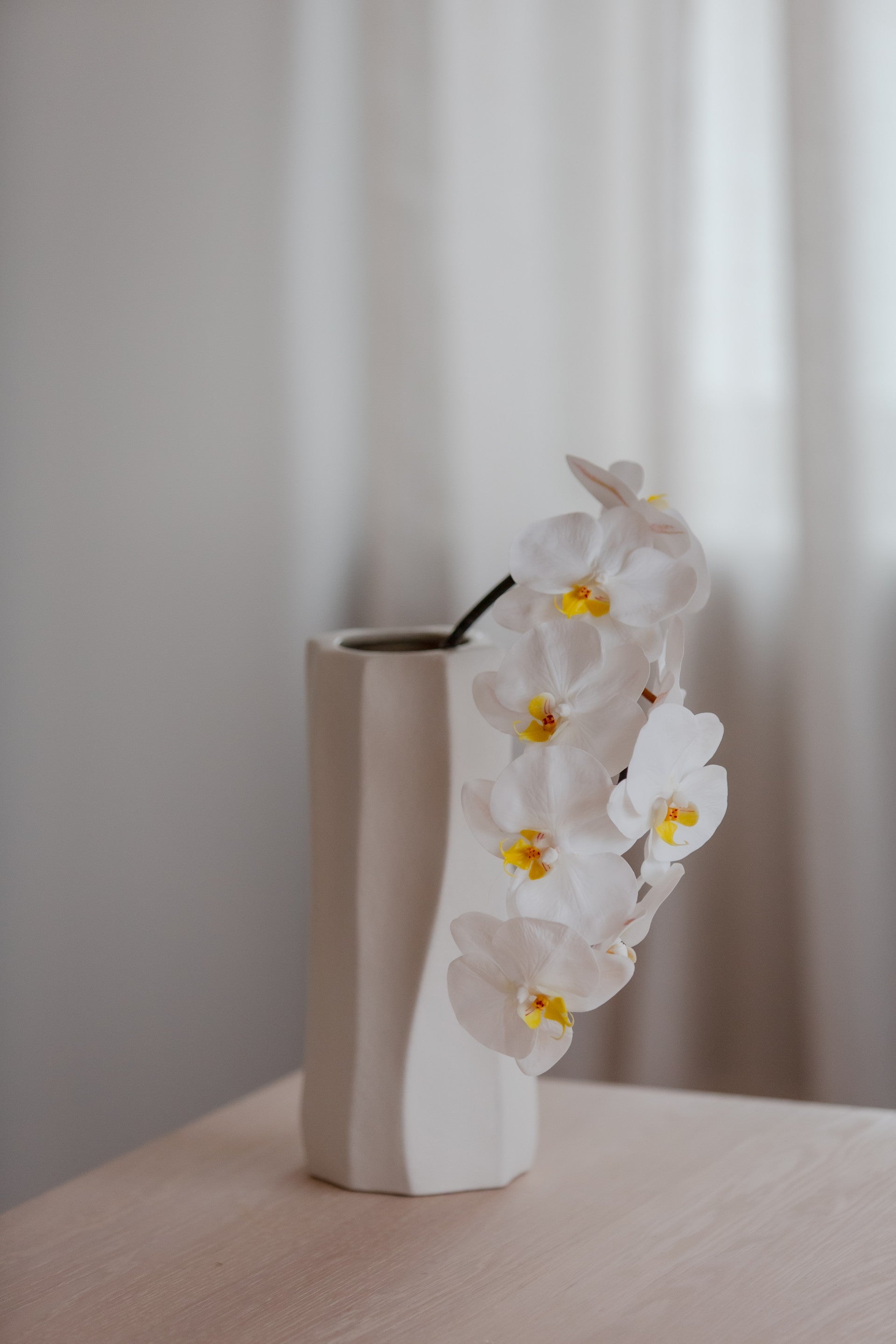 Orkidé hvit