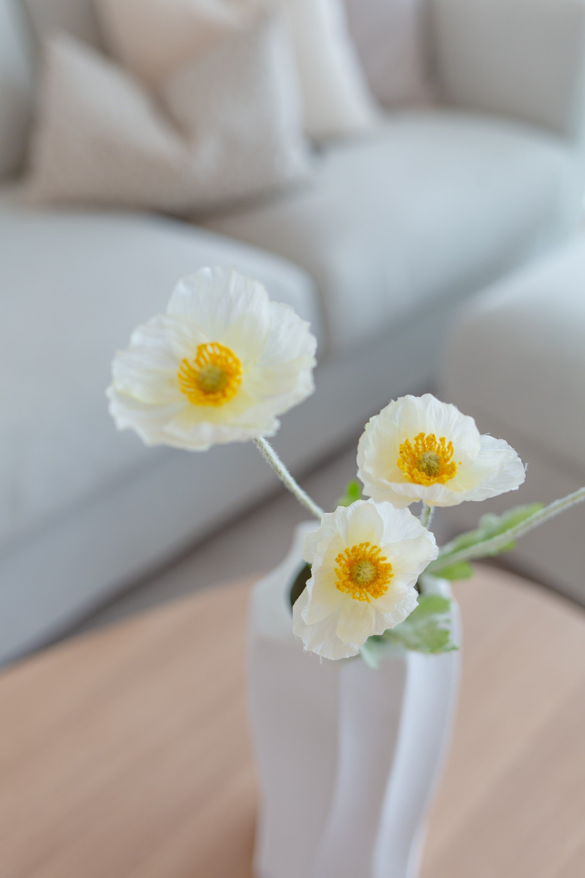 Poppy Flower Hvit