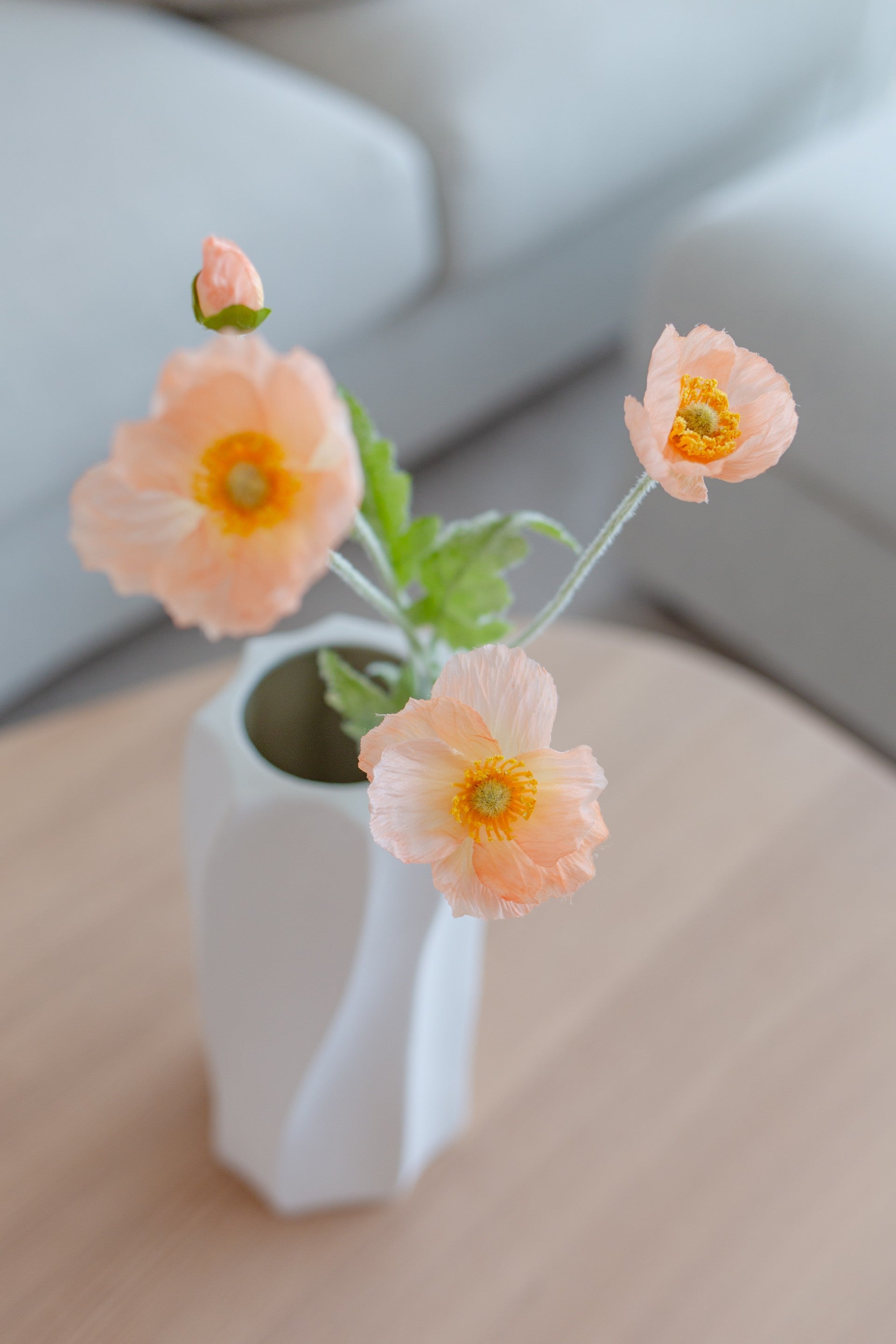 Poppy Flower Korall