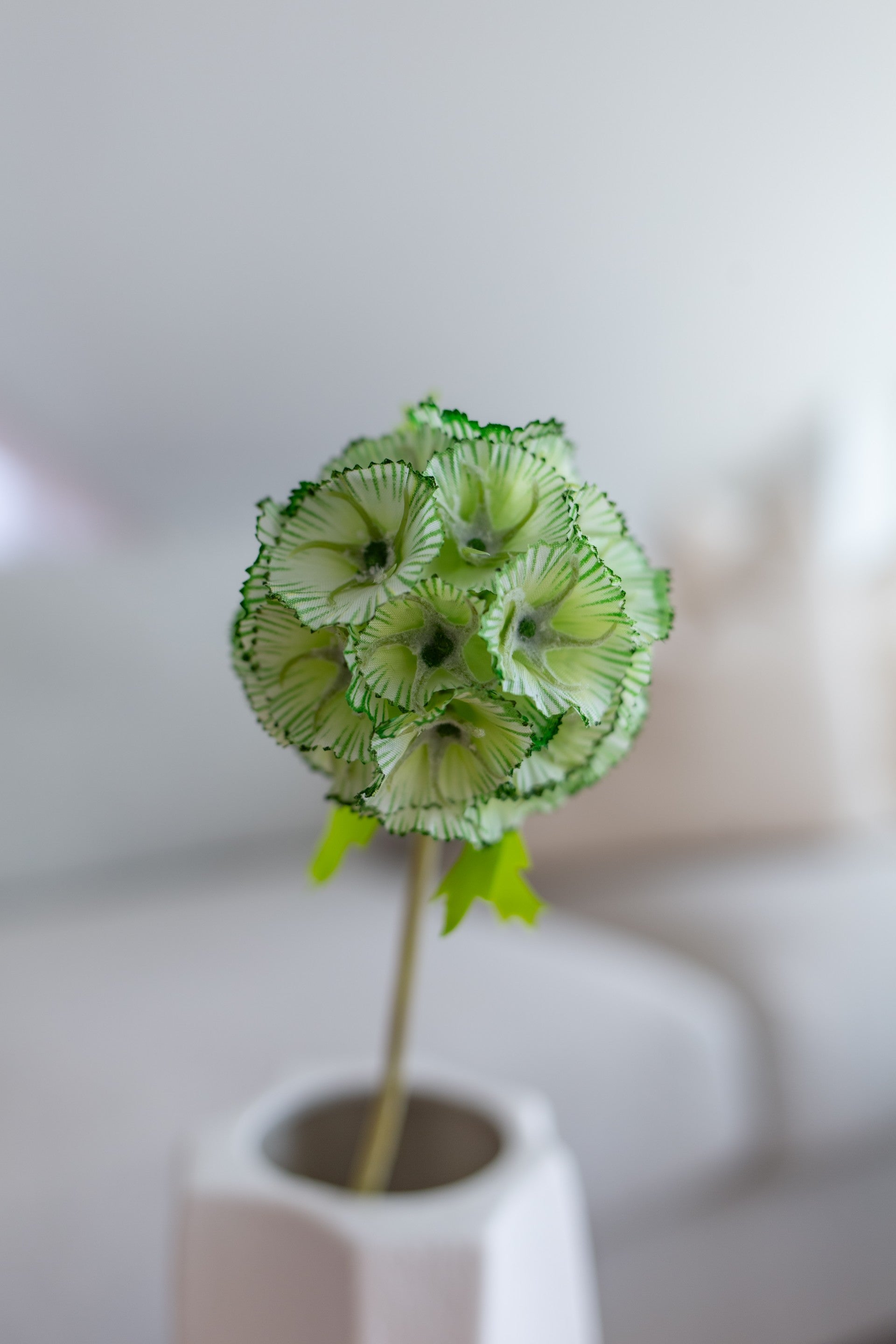 Kunstig scabiosa grønn brukt som dekorativ stilk i moderne interiør