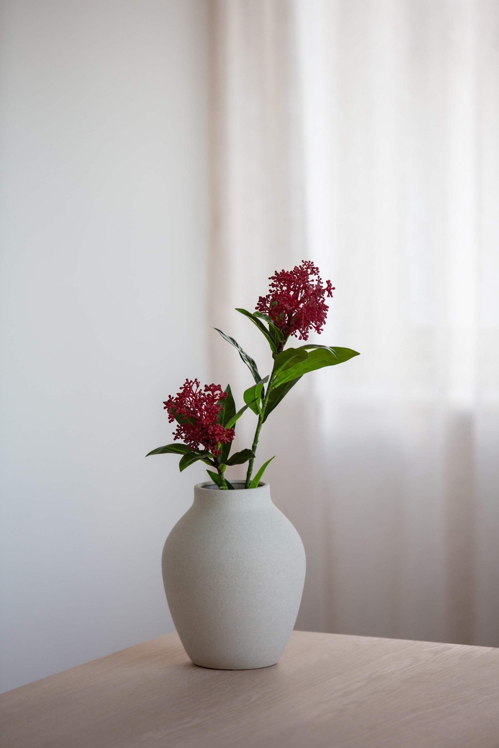Skimmia Berry Branch rød