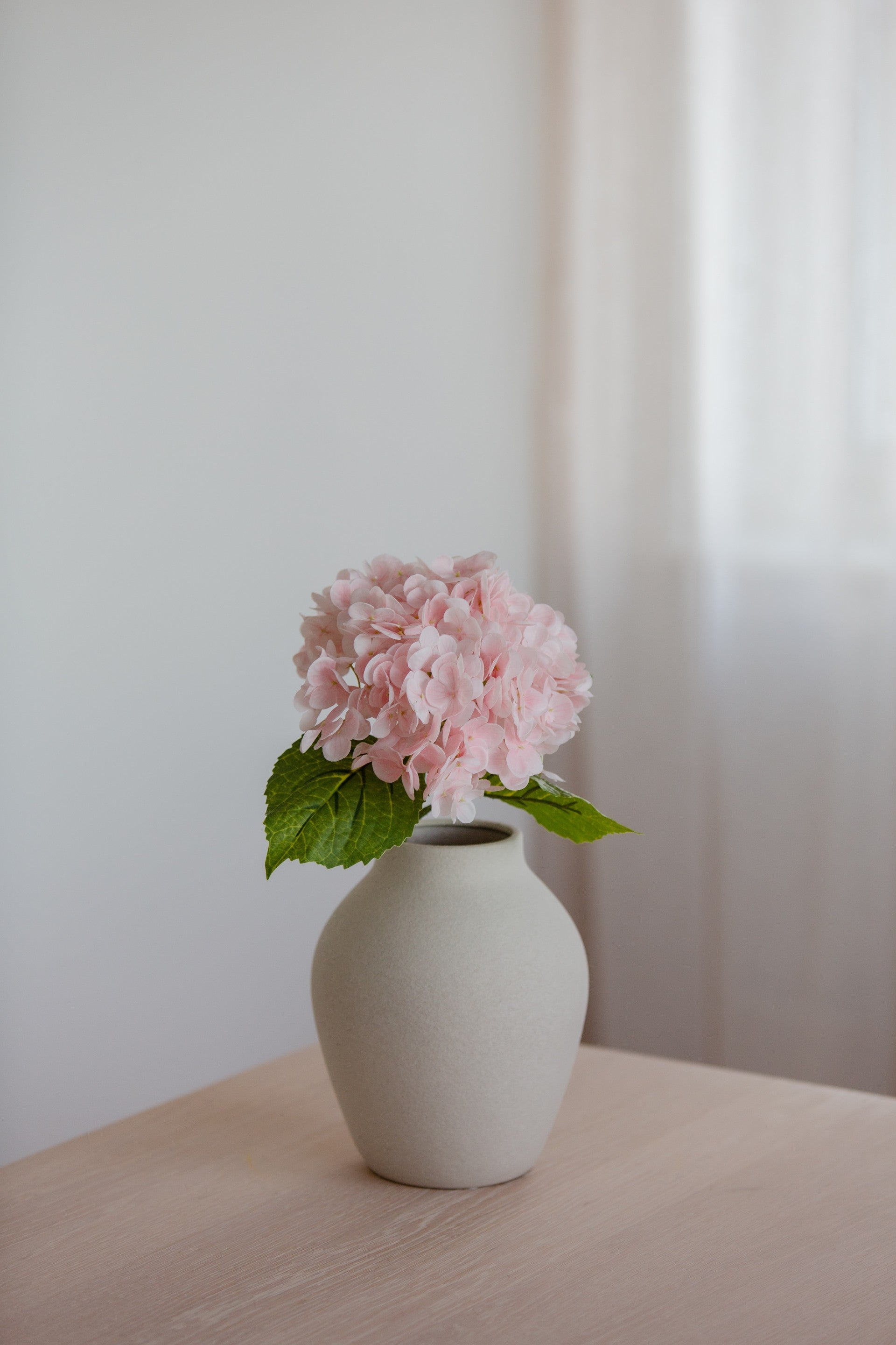 Hydrangea lys rosa