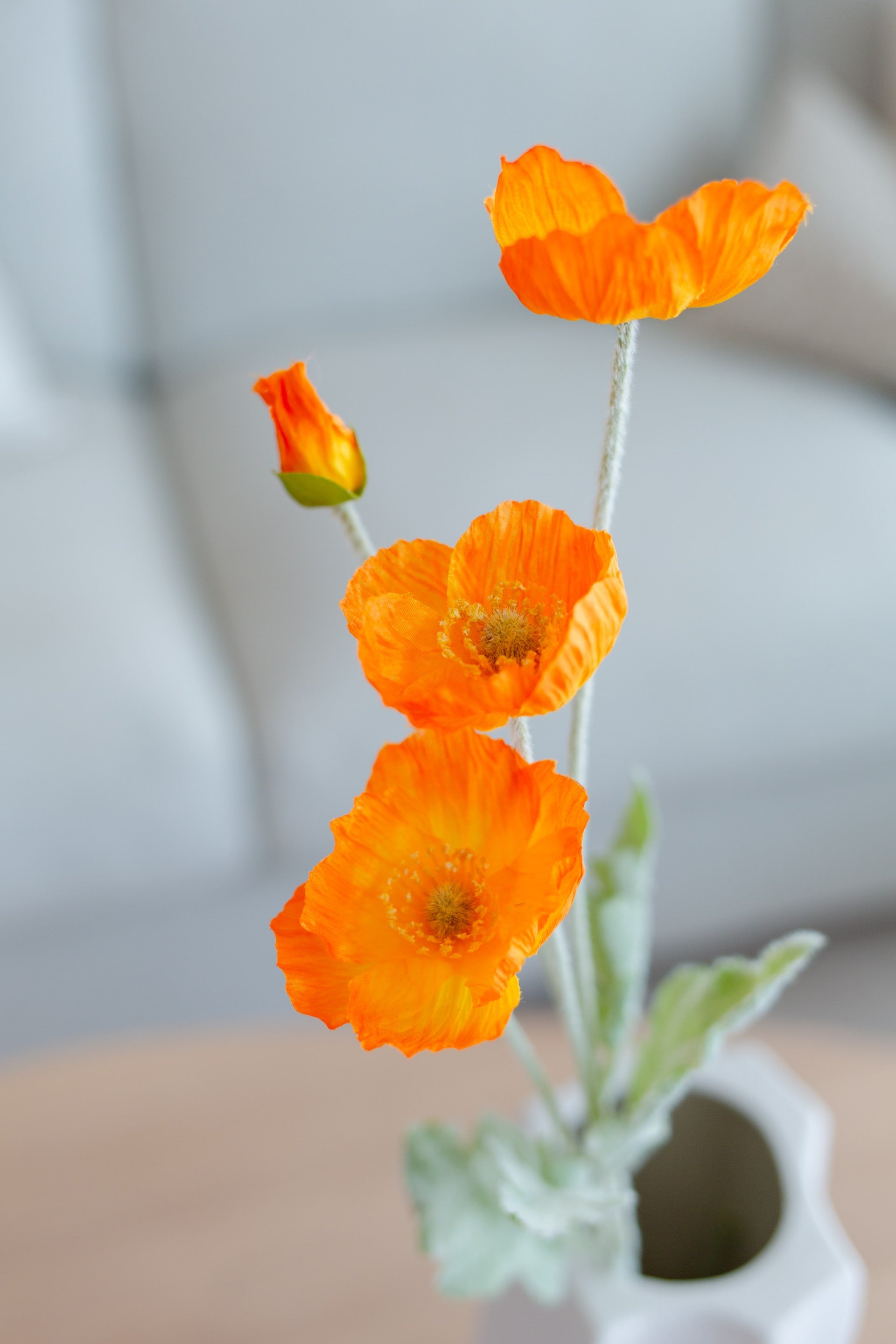 Poppy Flower Oransje
